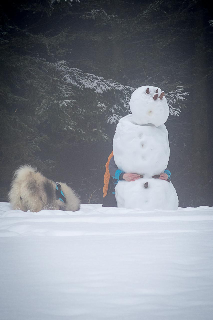 Poludnica zo Závažnej Poruby v zime (Nízke Tatry)