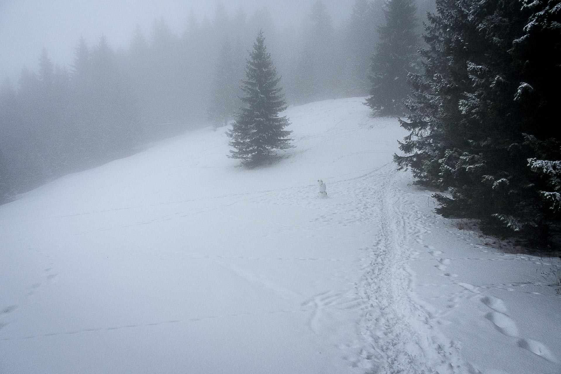 Poludnica zo Závažnej Poruby v zime (Nízke Tatry)