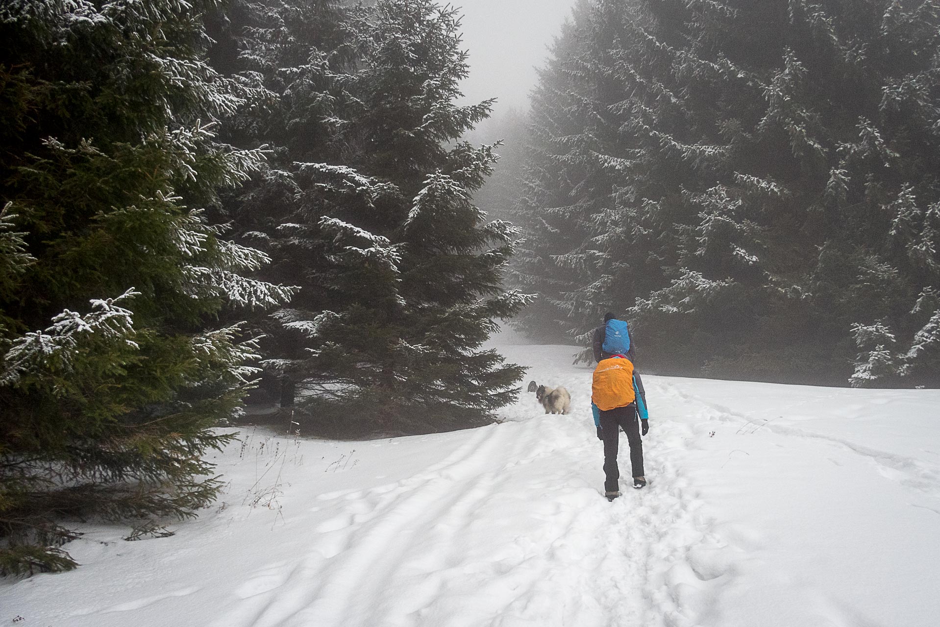 Poludnica zo Závažnej Poruby v zime (Nízke Tatry)