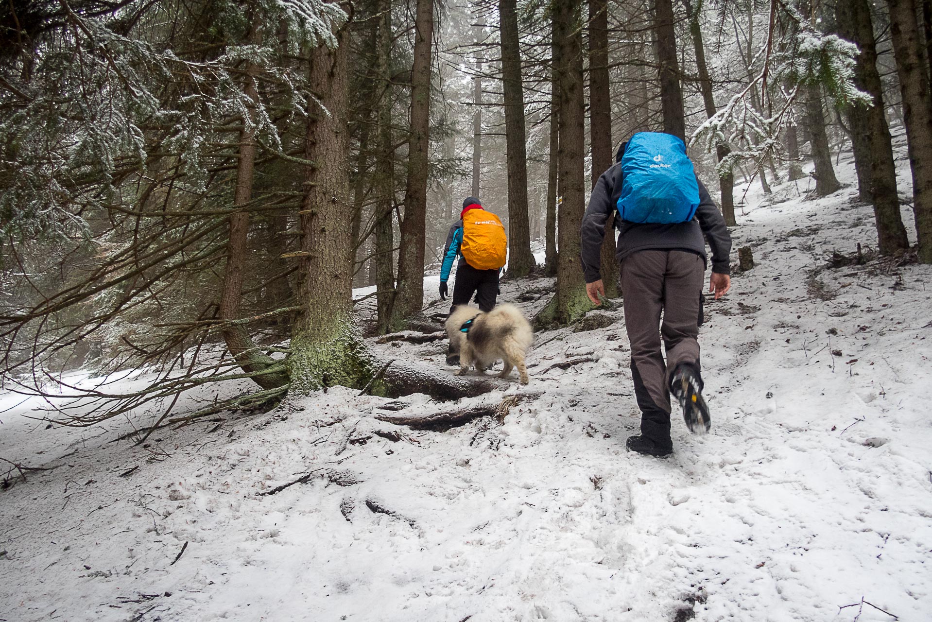 Poludnica zo Závažnej Poruby v zime (Nízke Tatry)