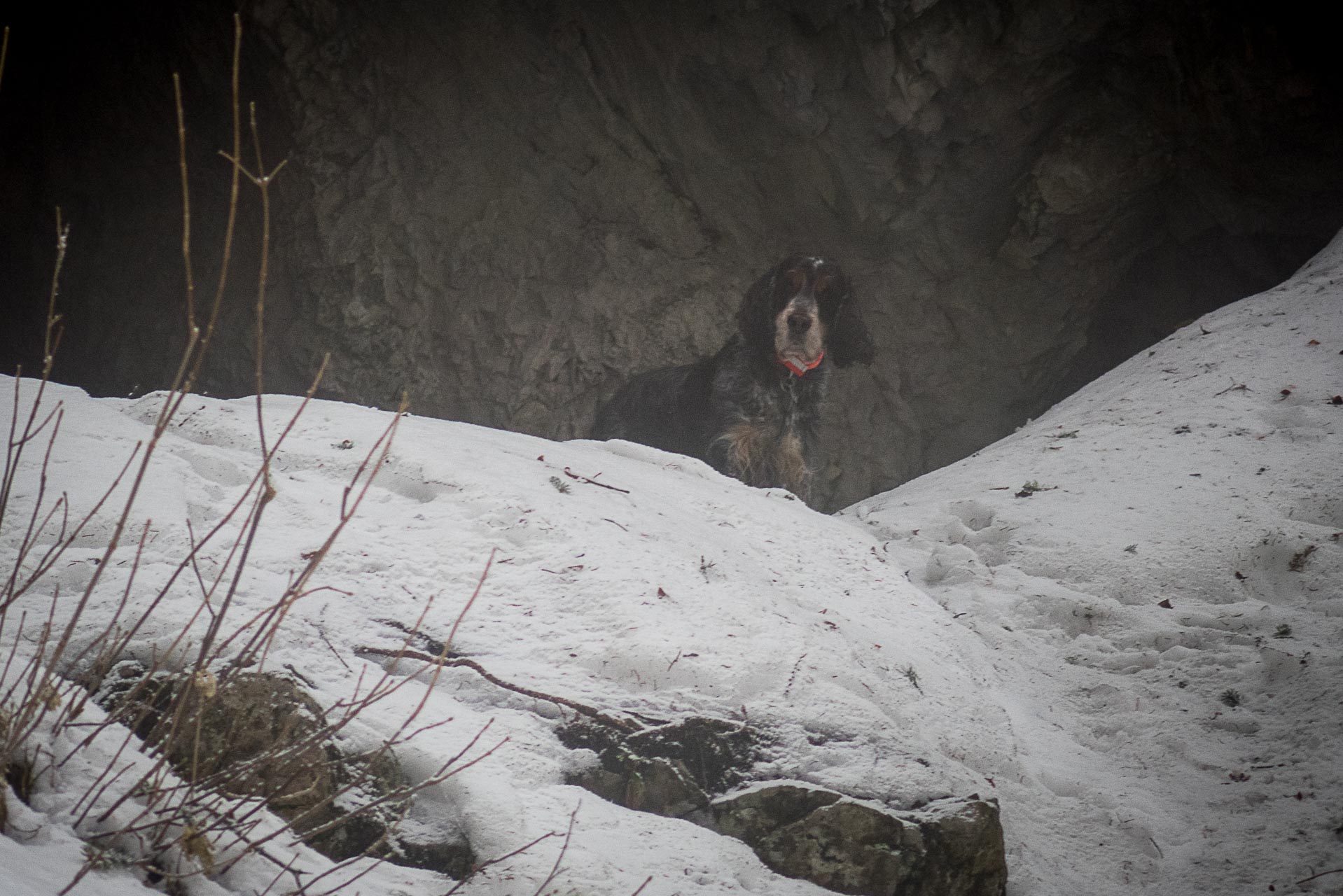 Poludnica zo Závažnej Poruby v zime (Nízke Tatry)