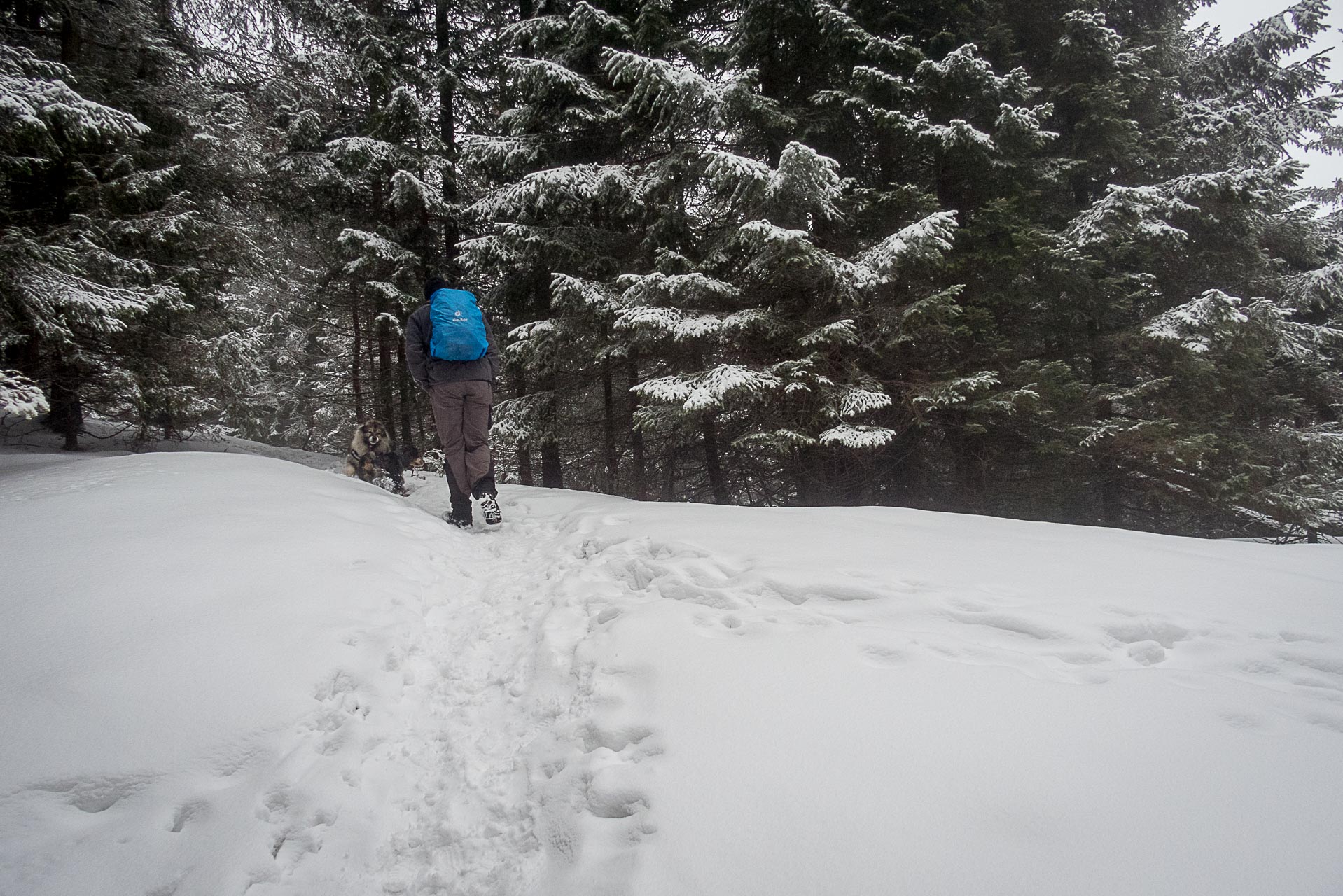 Poludnica zo Závažnej Poruby v zime (Nízke Tatry)