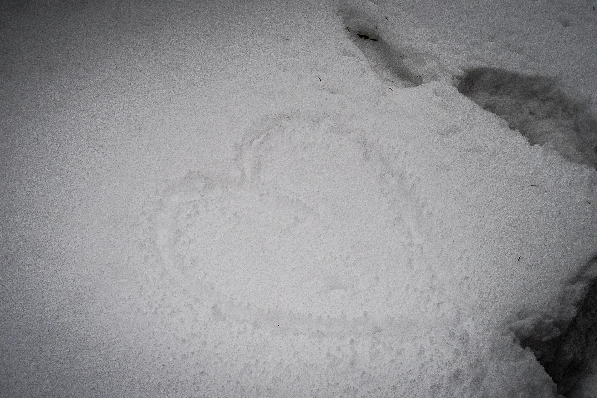 Poludnica zo Závažnej Poruby v zime (Nízke Tatry)