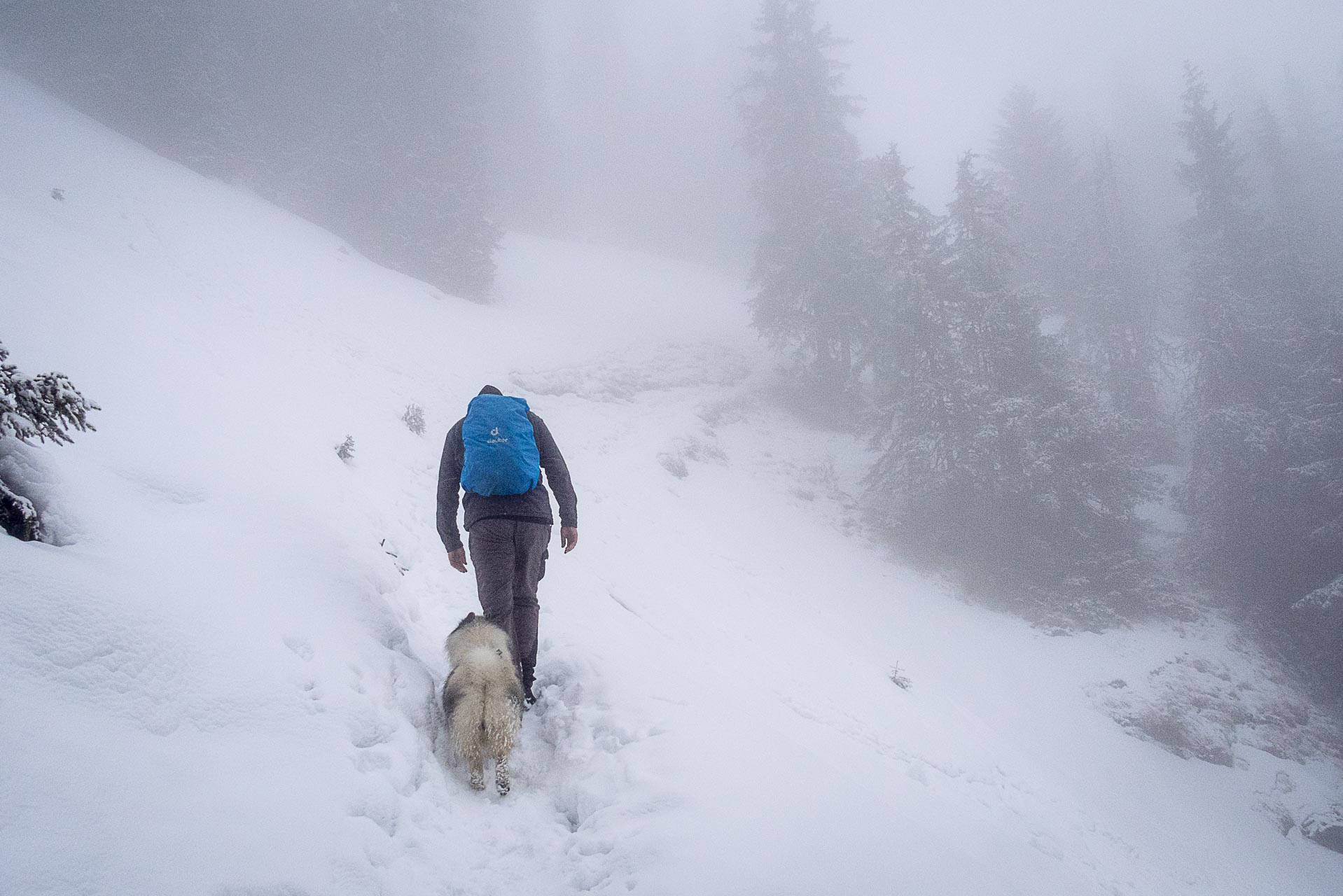 Poludnica zo Závažnej Poruby v zime (Nízke Tatry)