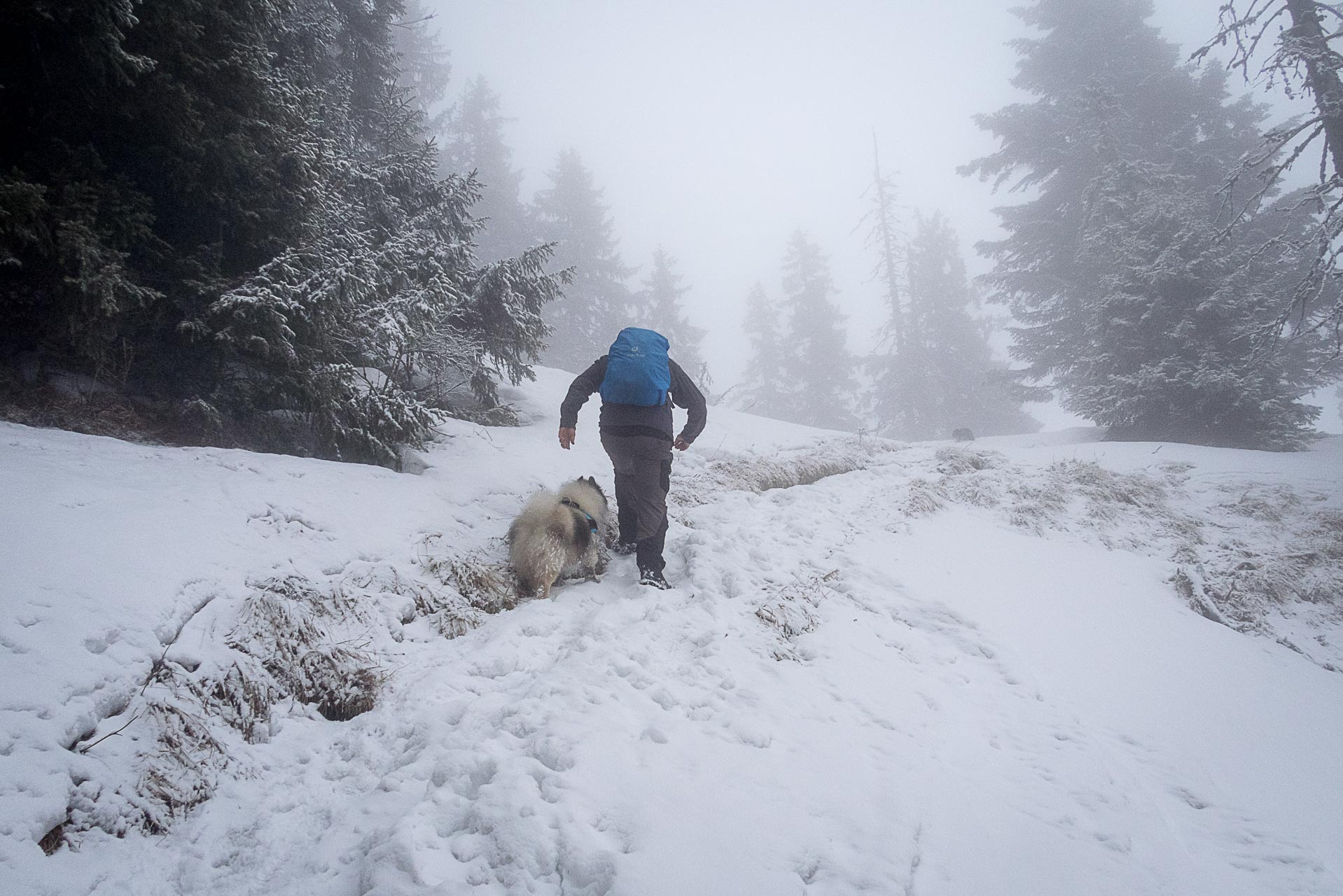 Poludnica zo Závažnej Poruby v zime (Nízke Tatry)