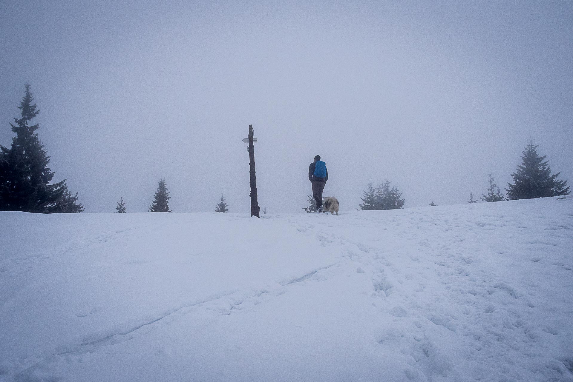 Poludnica zo Závažnej Poruby v zime (Nízke Tatry)