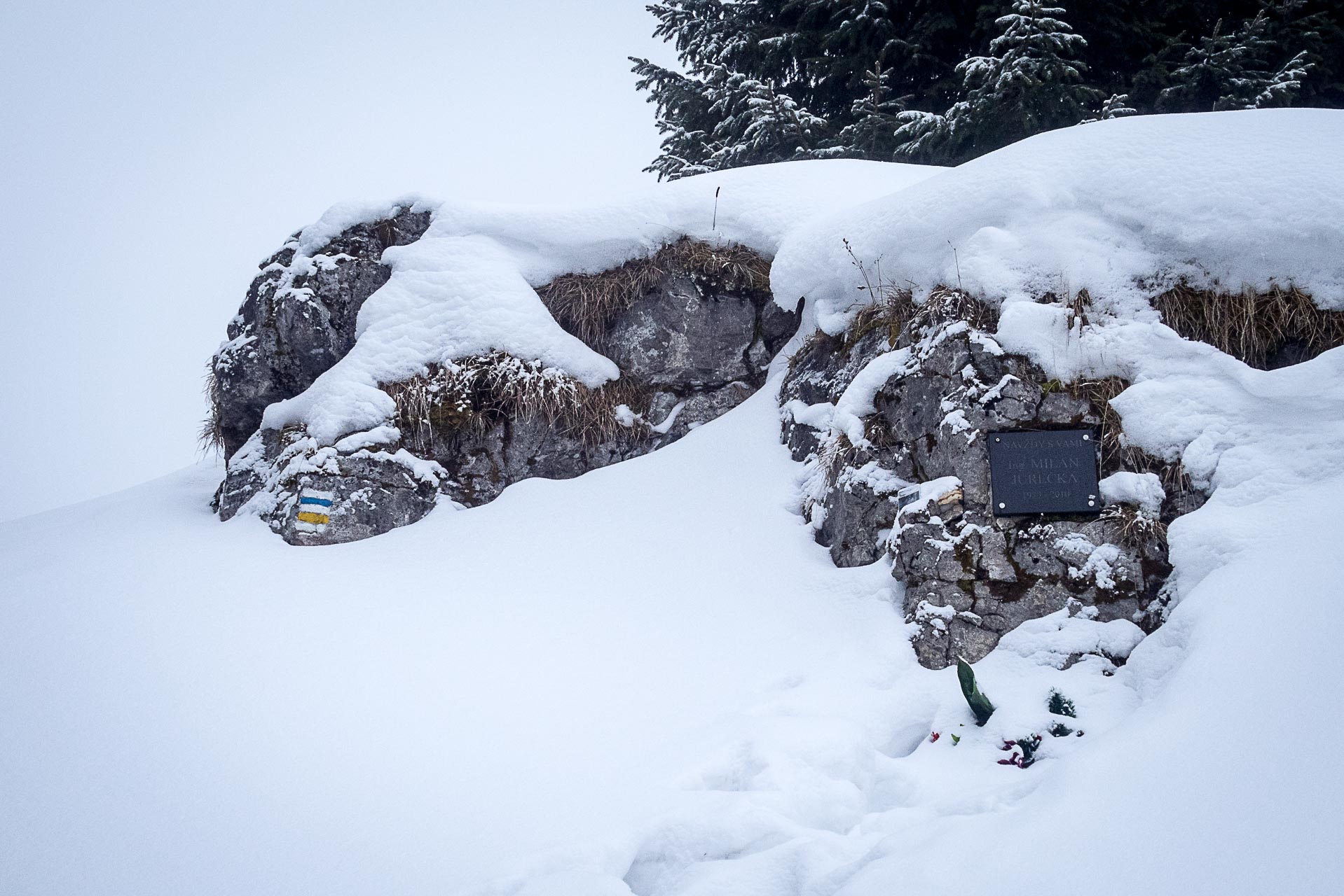 Poludnica zo Závažnej Poruby v zime (Nízke Tatry)