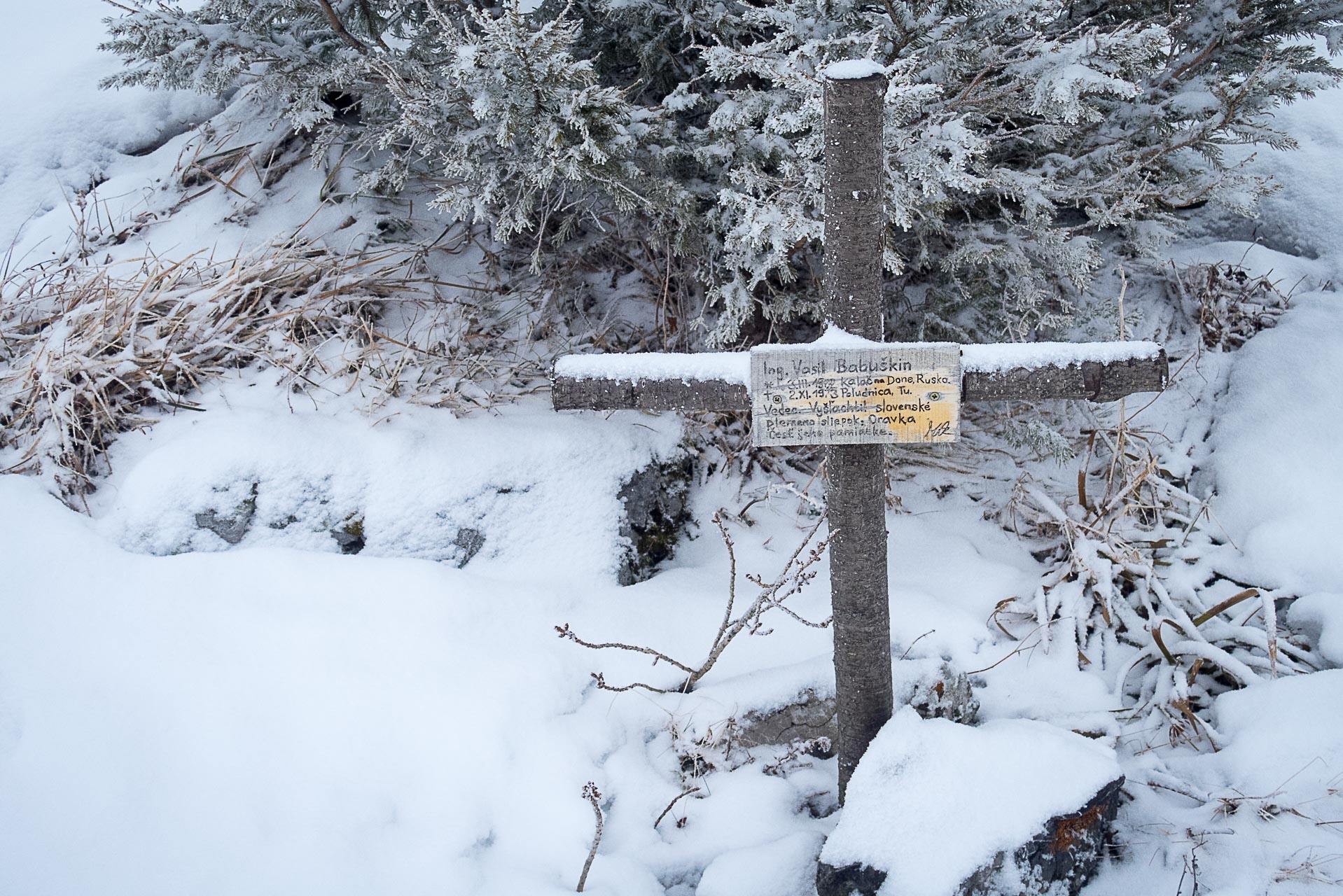 Poludnica zo Závažnej Poruby v zime (Nízke Tatry)