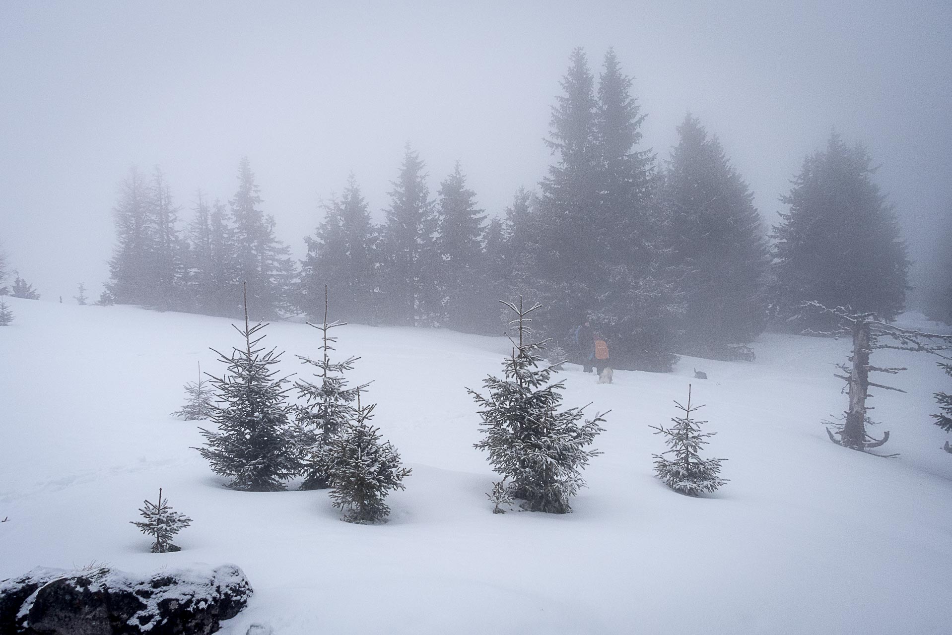 Poludnica zo Závažnej Poruby v zime (Nízke Tatry)