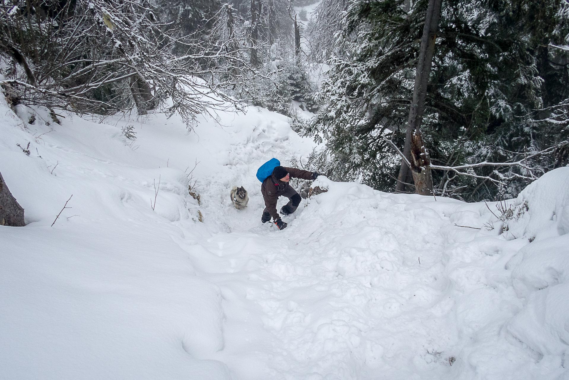 Poludnica zo Závažnej Poruby v zime (Nízke Tatry)