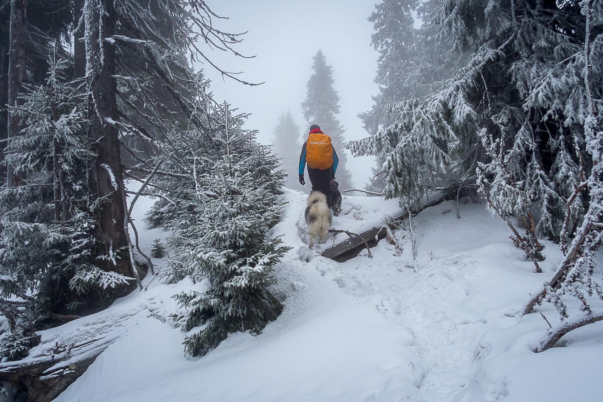 Poludnica zo Závažnej Poruby v zime (Nízke Tatry)