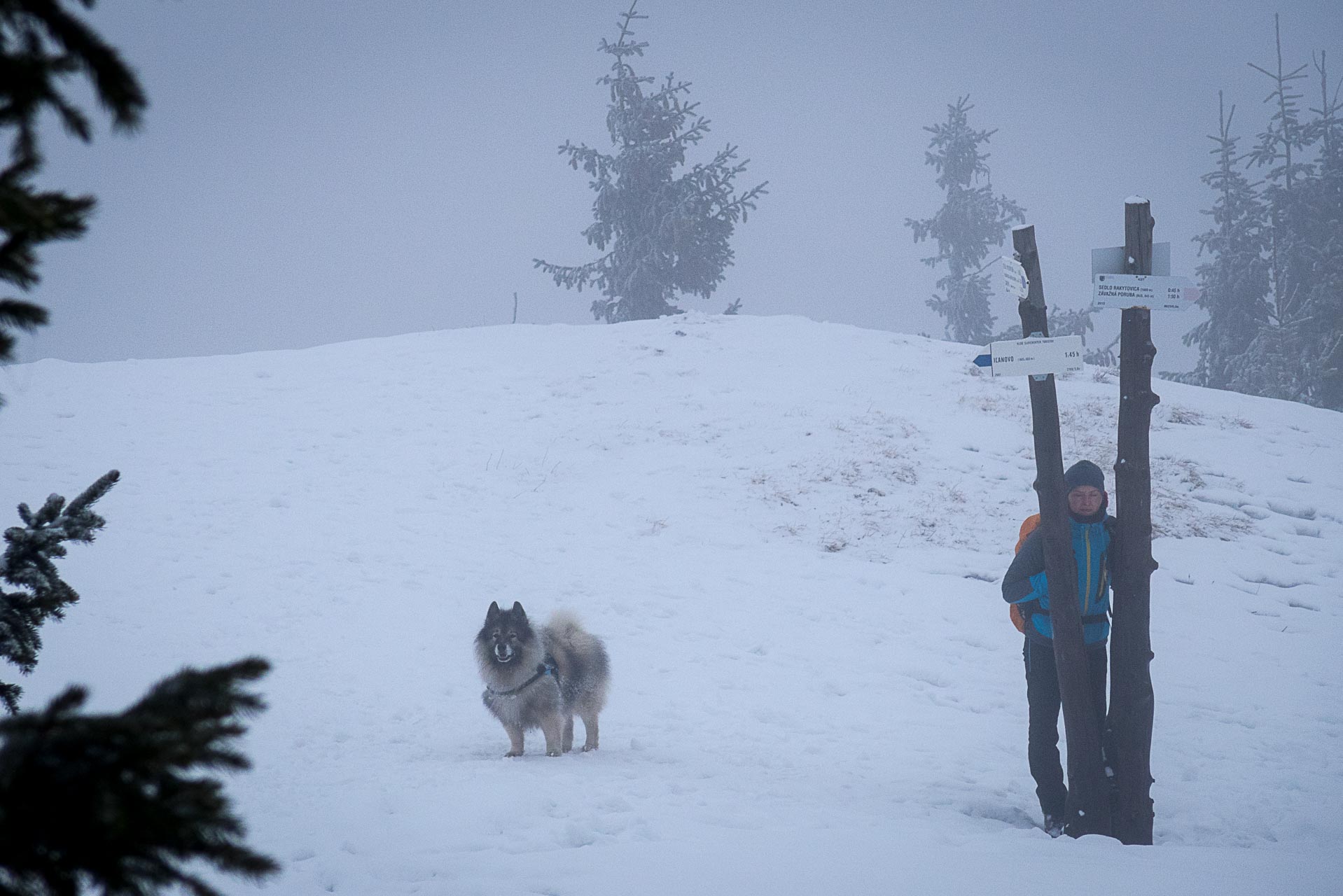 Poludnica zo Závažnej Poruby v zime (Nízke Tatry)