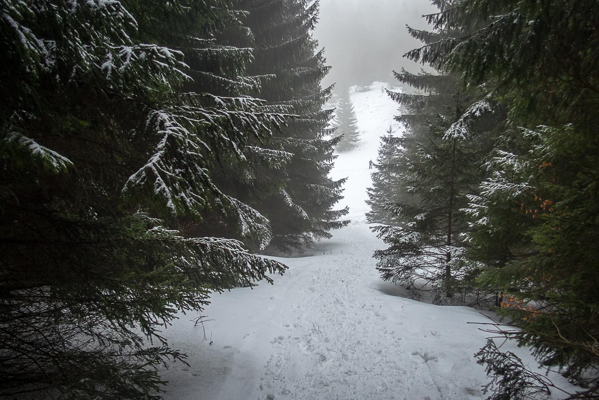 Poludnica zo Závažnej Poruby v zime (Nízke Tatry)