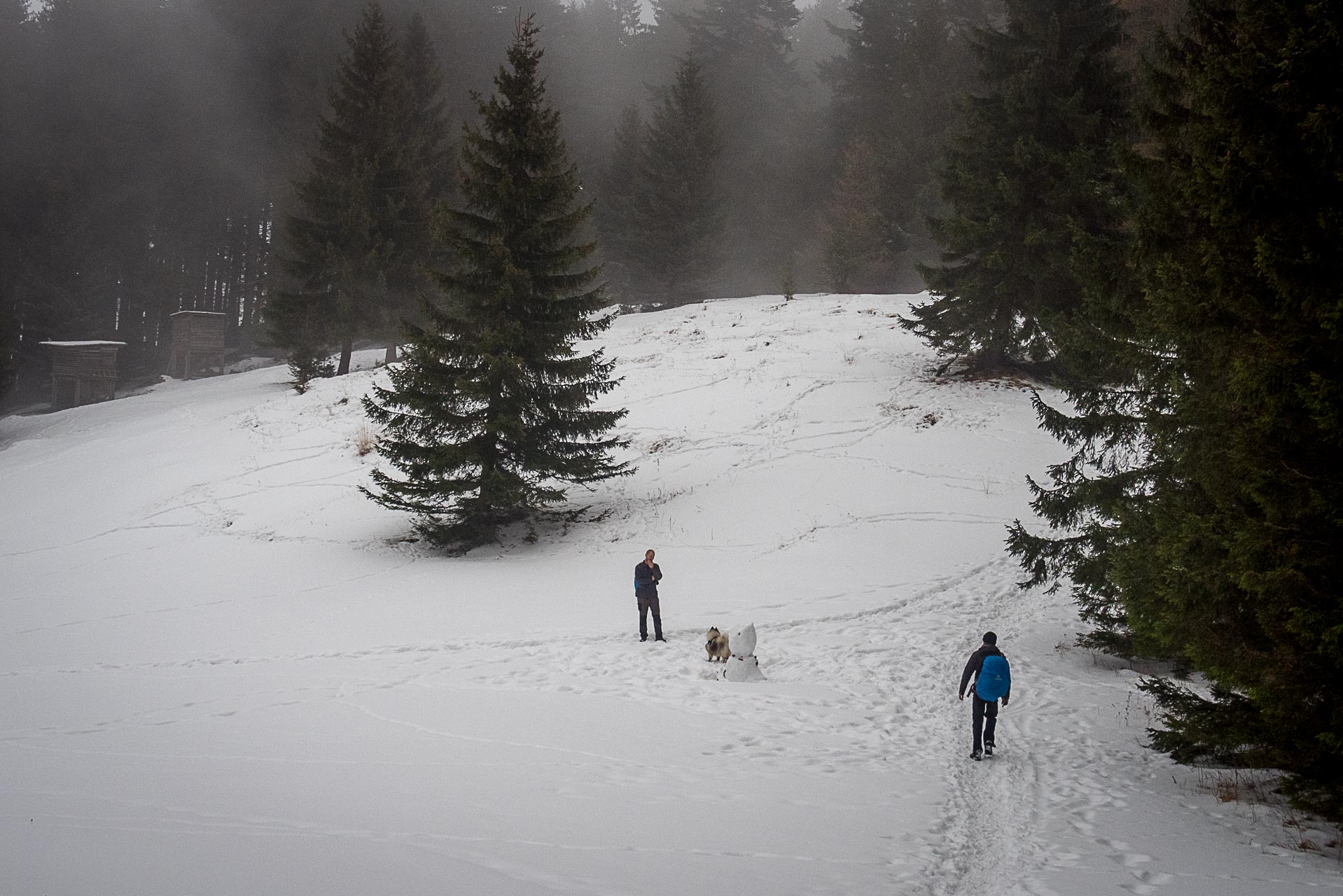 Poludnica zo Závažnej Poruby v zime (Nízke Tatry)