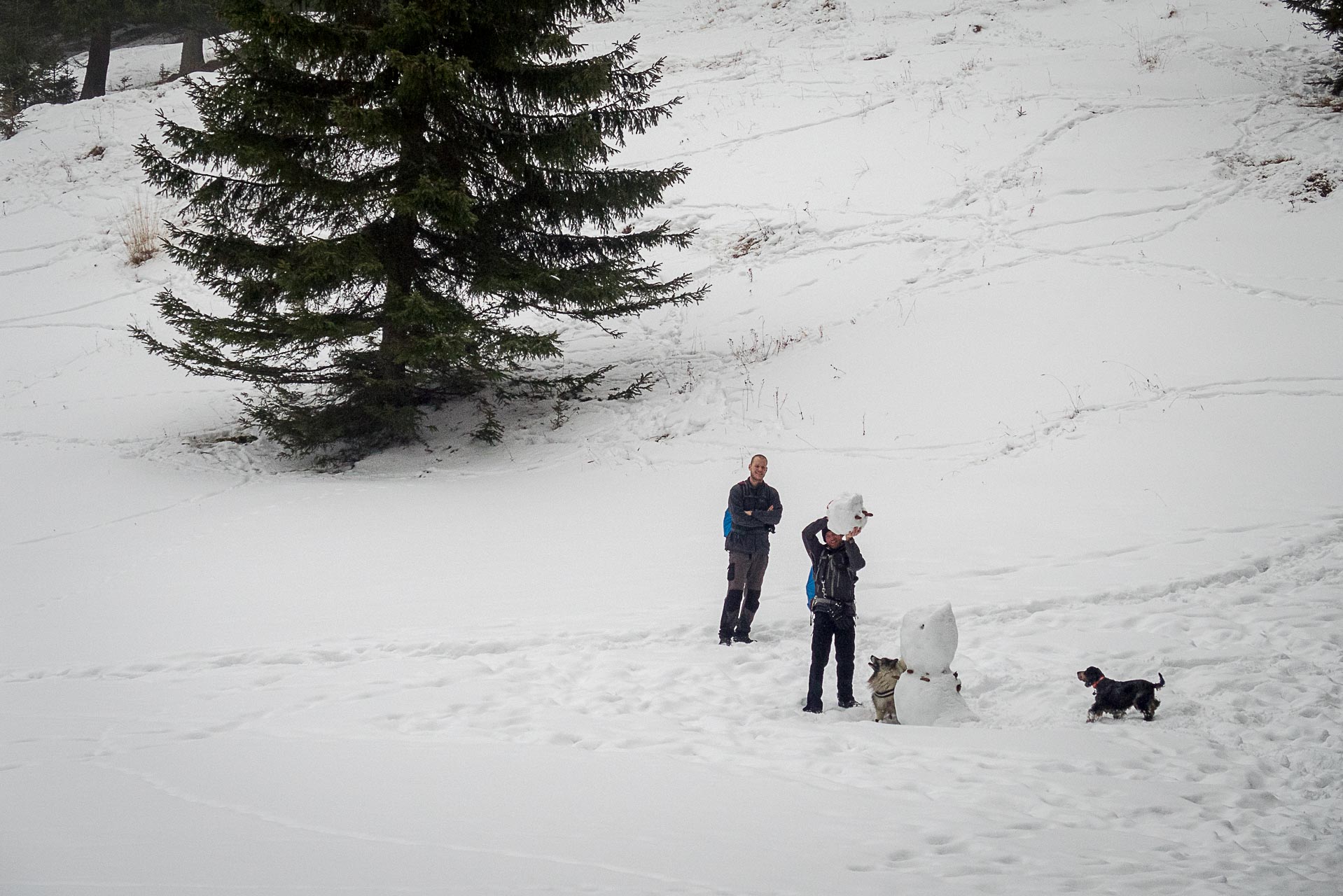 Poludnica zo Závažnej Poruby v zime (Nízke Tatry)