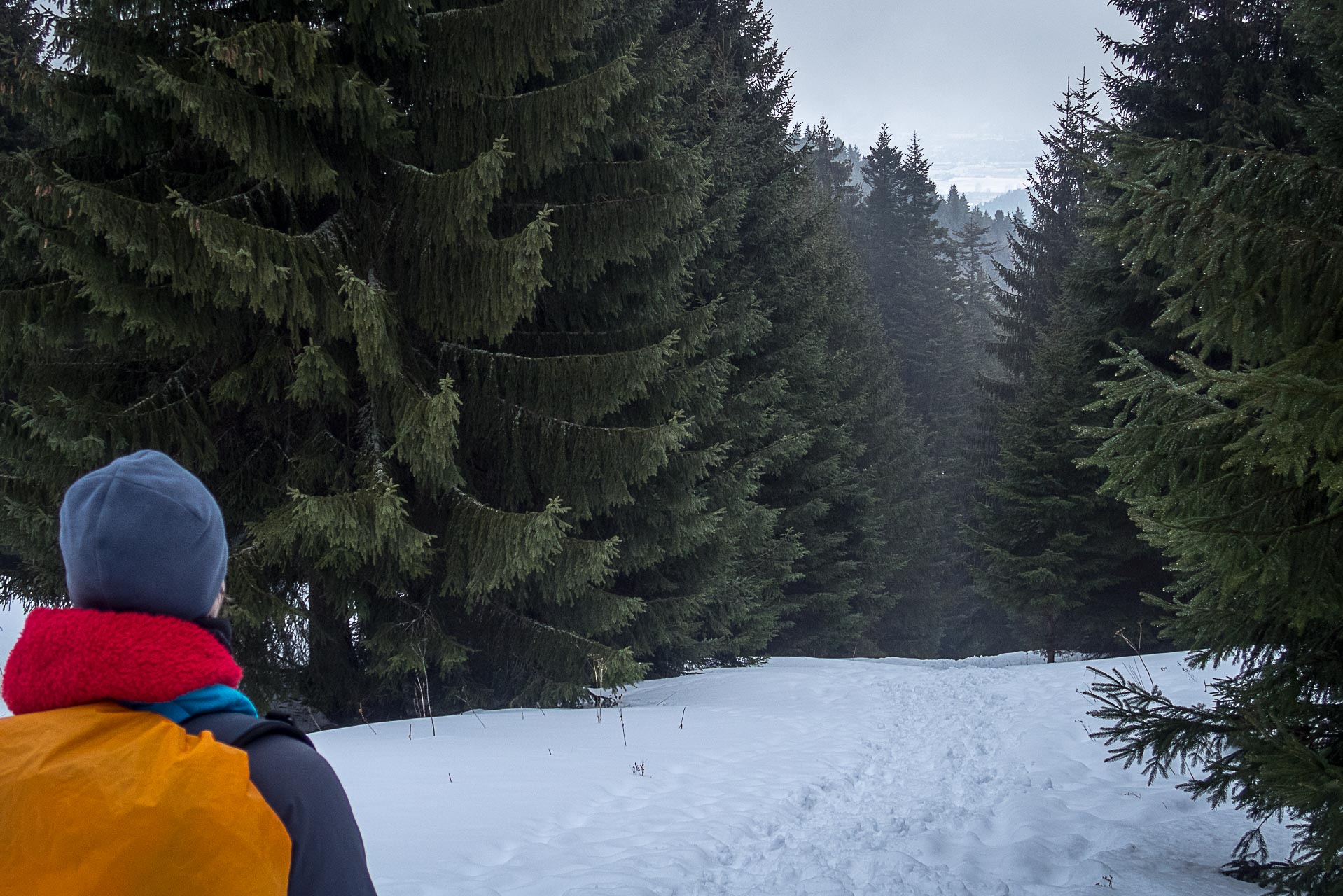 Poludnica zo Závažnej Poruby v zime (Nízke Tatry)