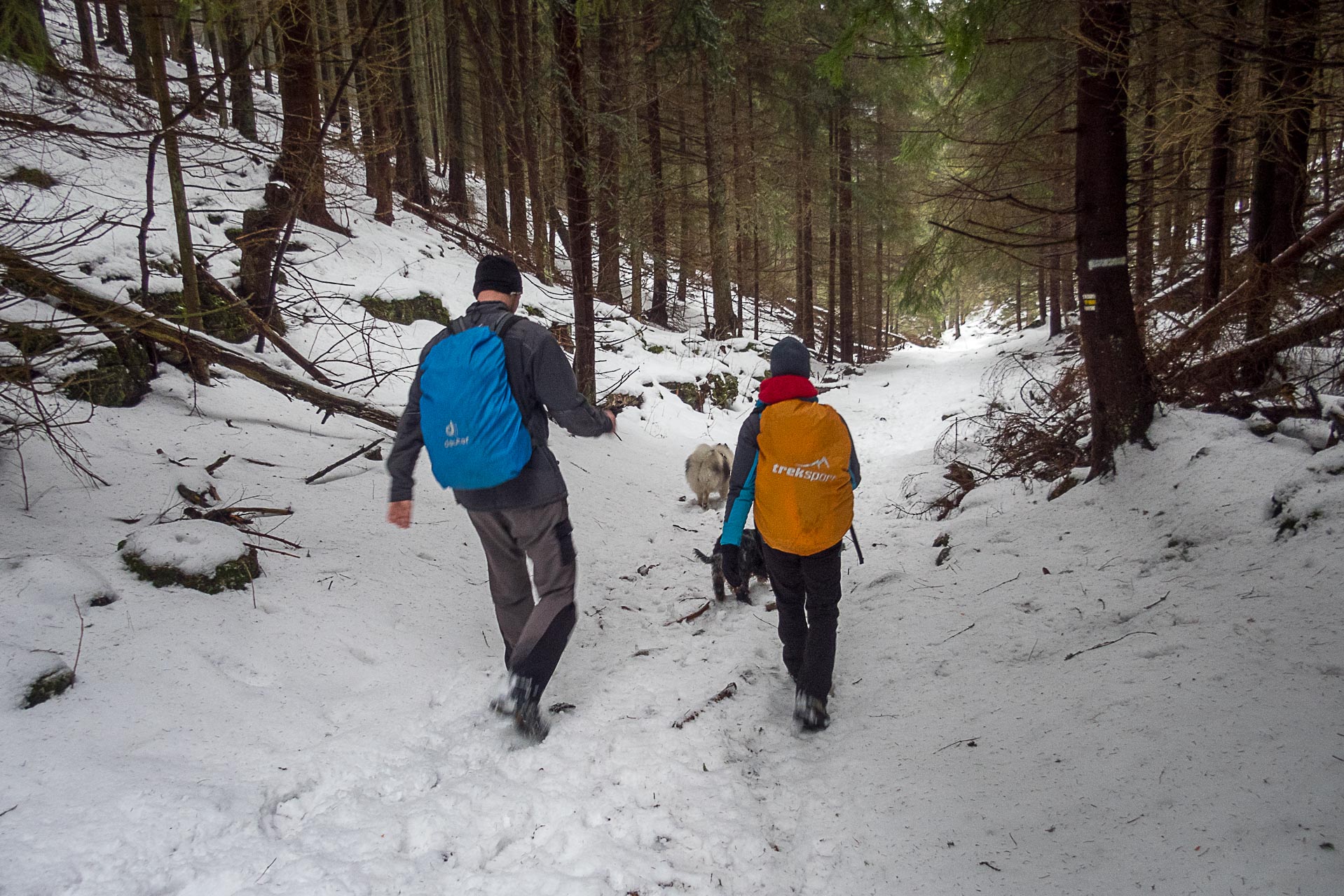 Poludnica zo Závažnej Poruby v zime (Nízke Tatry)