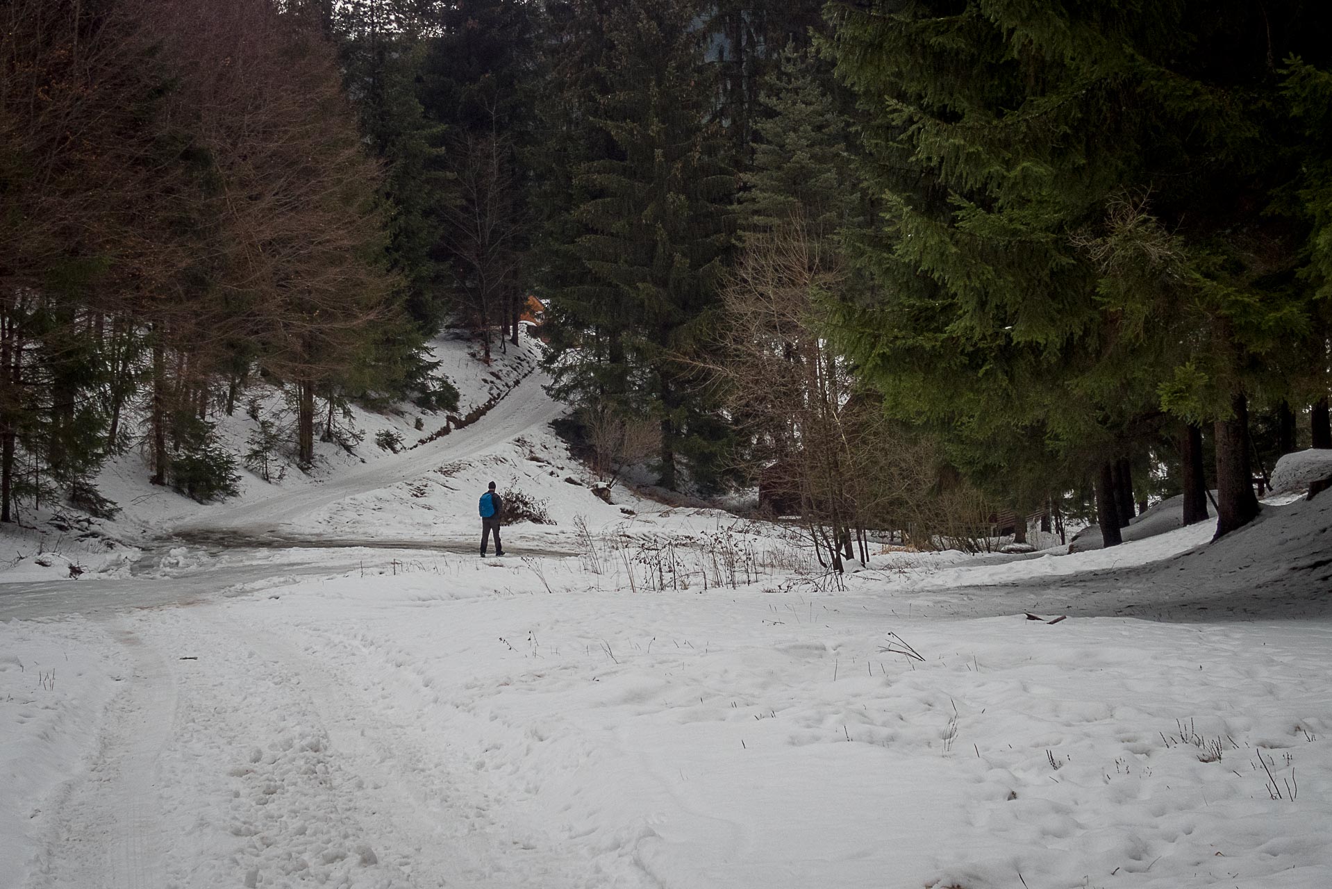 Poludnica zo Závažnej Poruby v zime (Nízke Tatry)