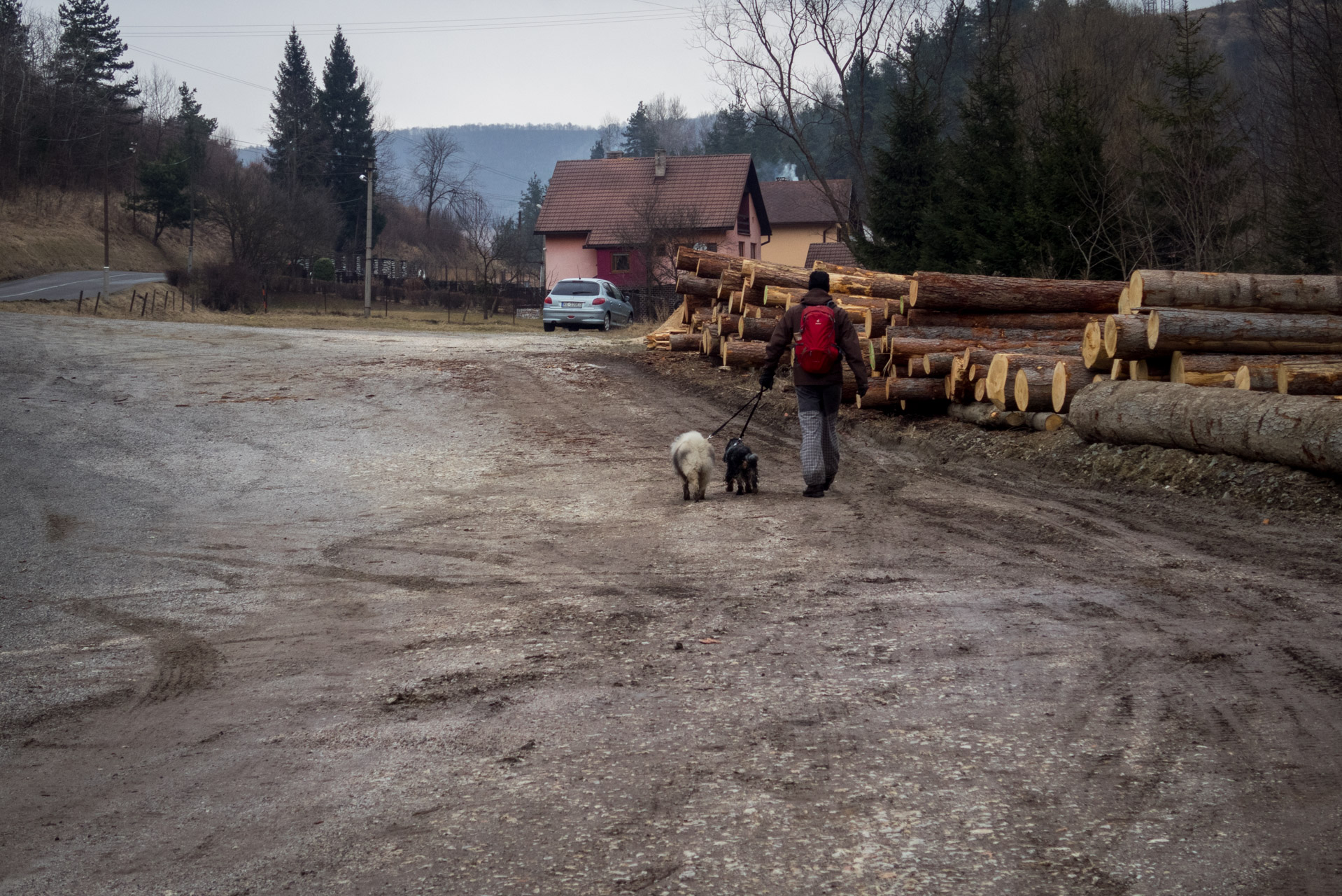 Rozsypaná skala z Doliny (Čierna hora)