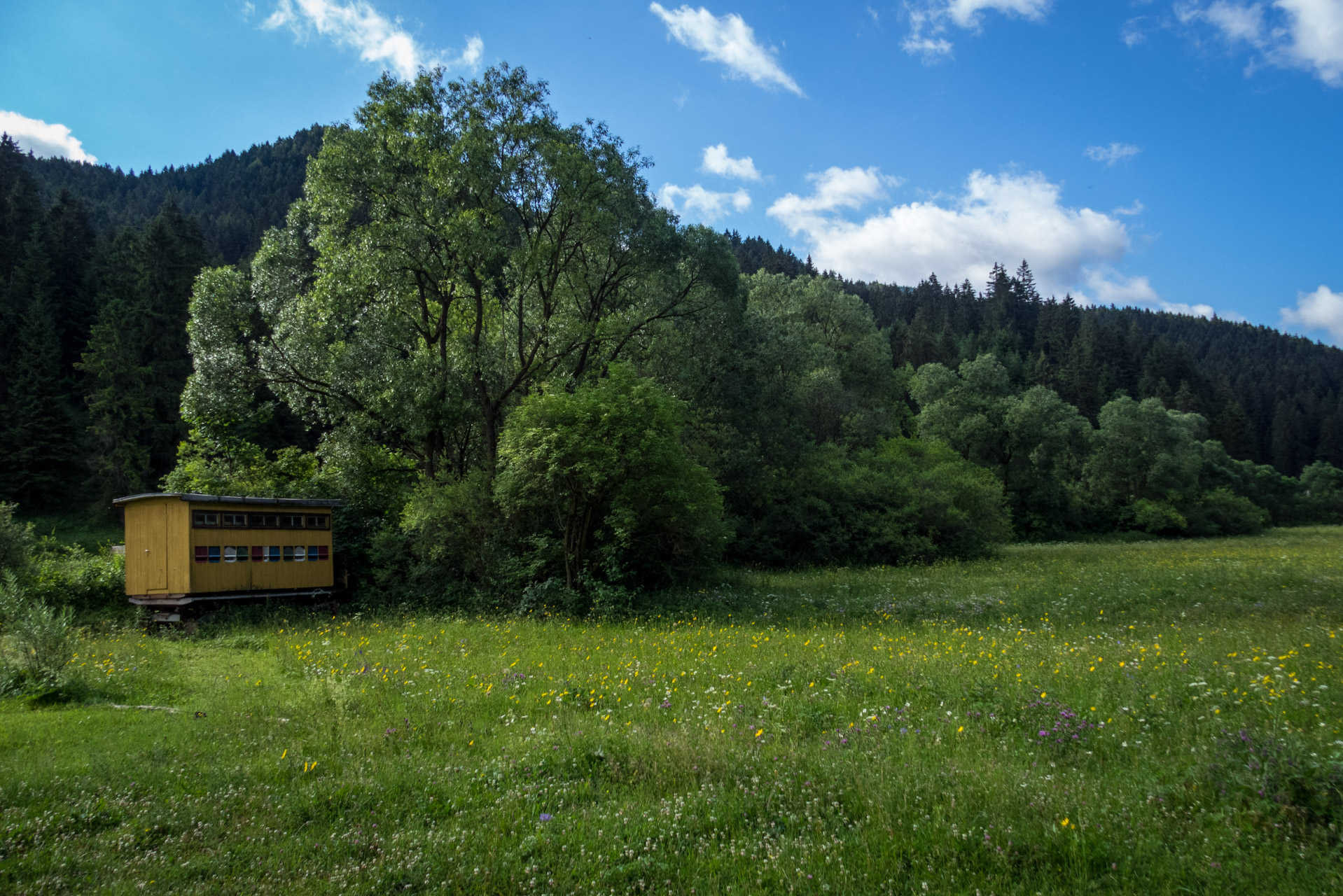 Salatín z Ludrovej cez Úplazy (Nízke Tatry)