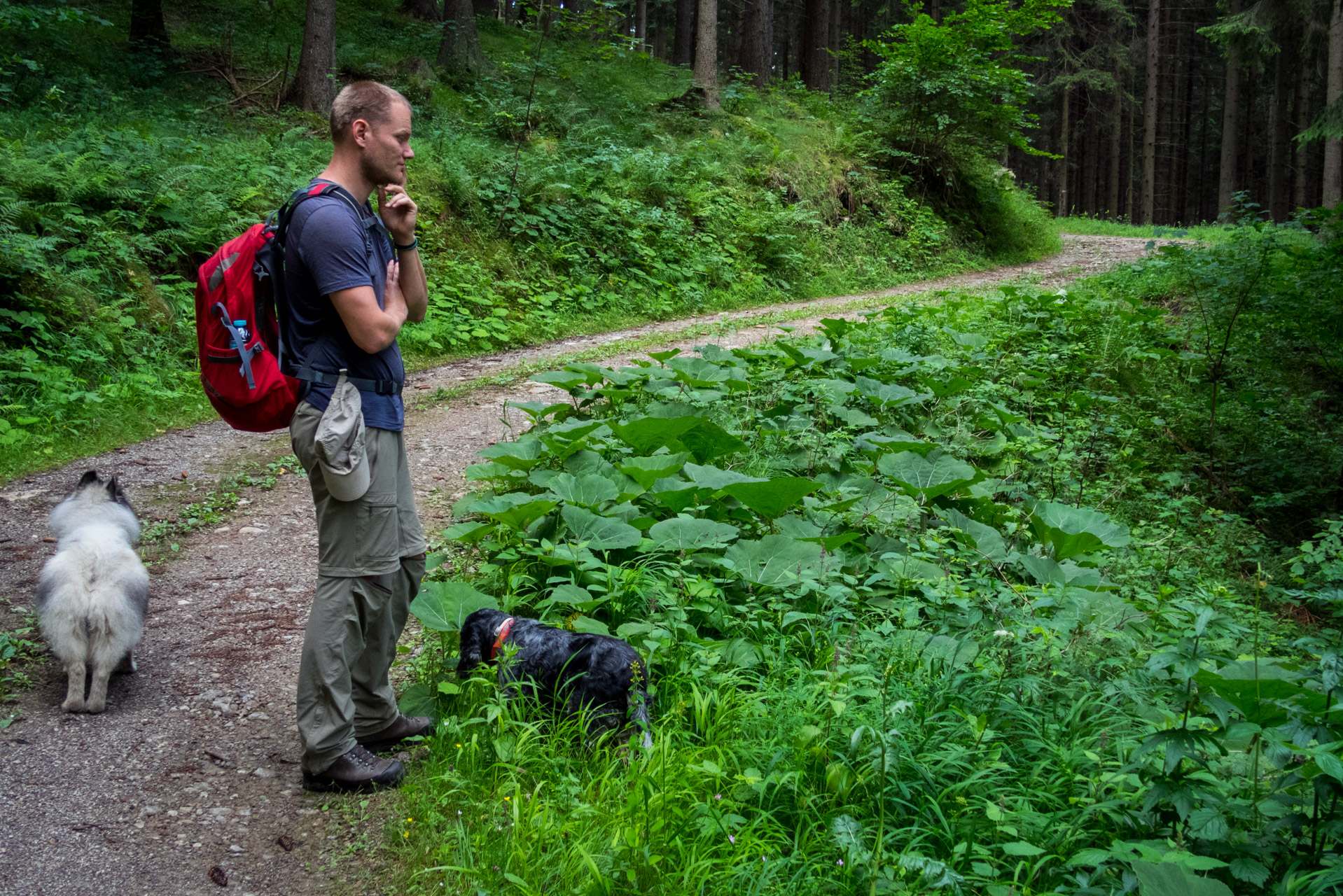 Salatín z Ludrovej cez Úplazy (Nízke Tatry)