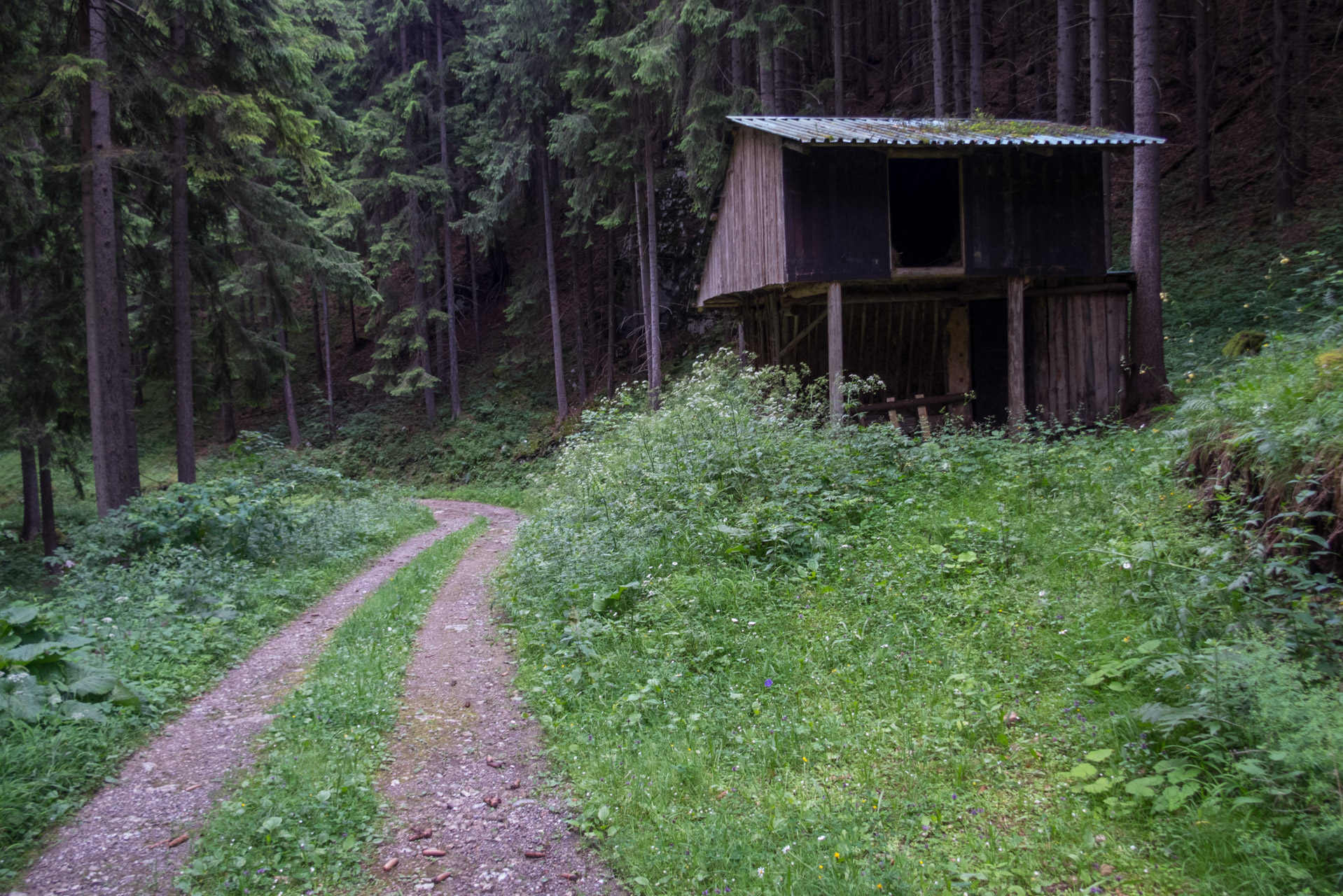 Salatín z Ludrovej cez Úplazy (Nízke Tatry)