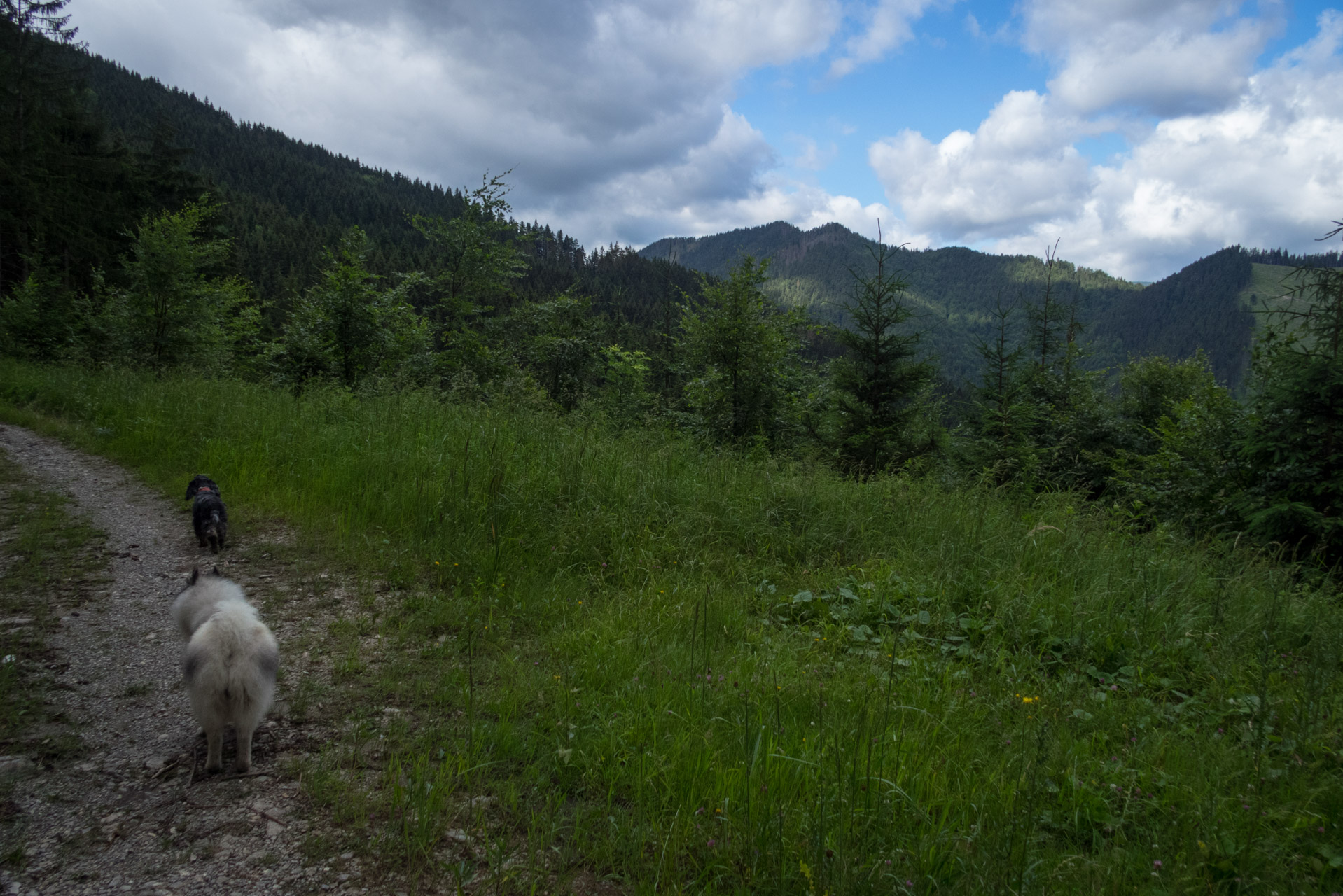 Salatín z Ludrovej cez Úplazy (Nízke Tatry)