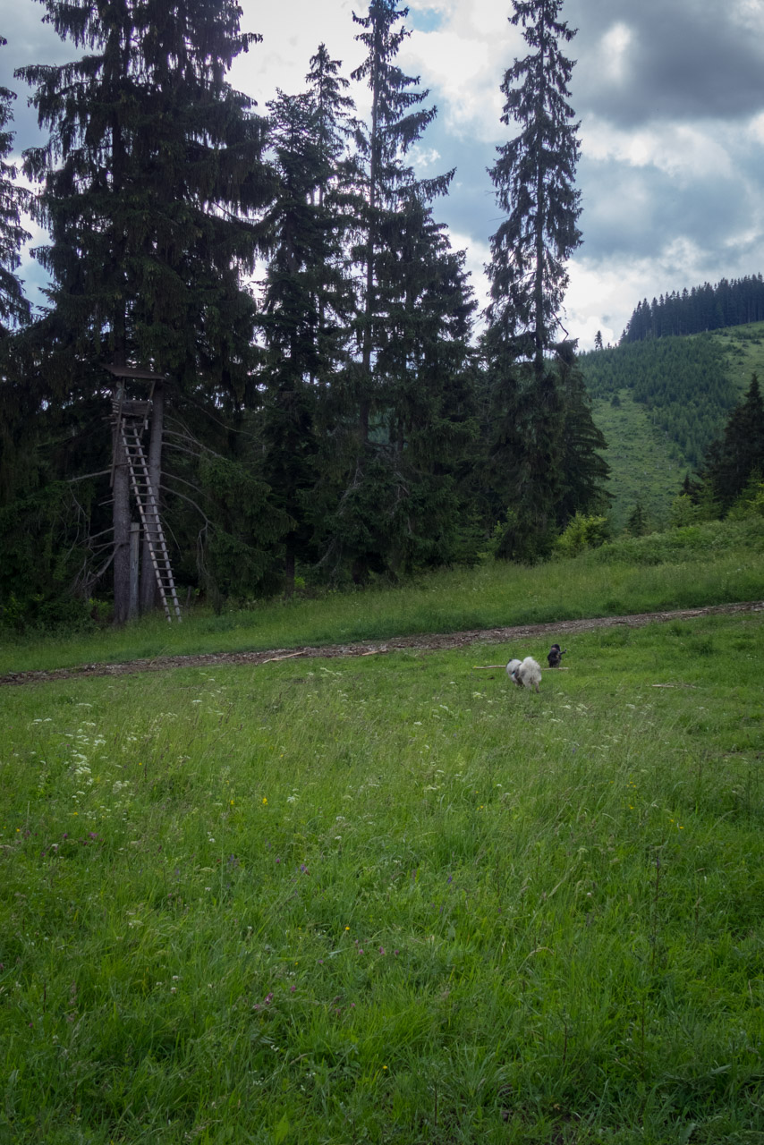 Salatín z Ludrovej cez Úplazy (Nízke Tatry)