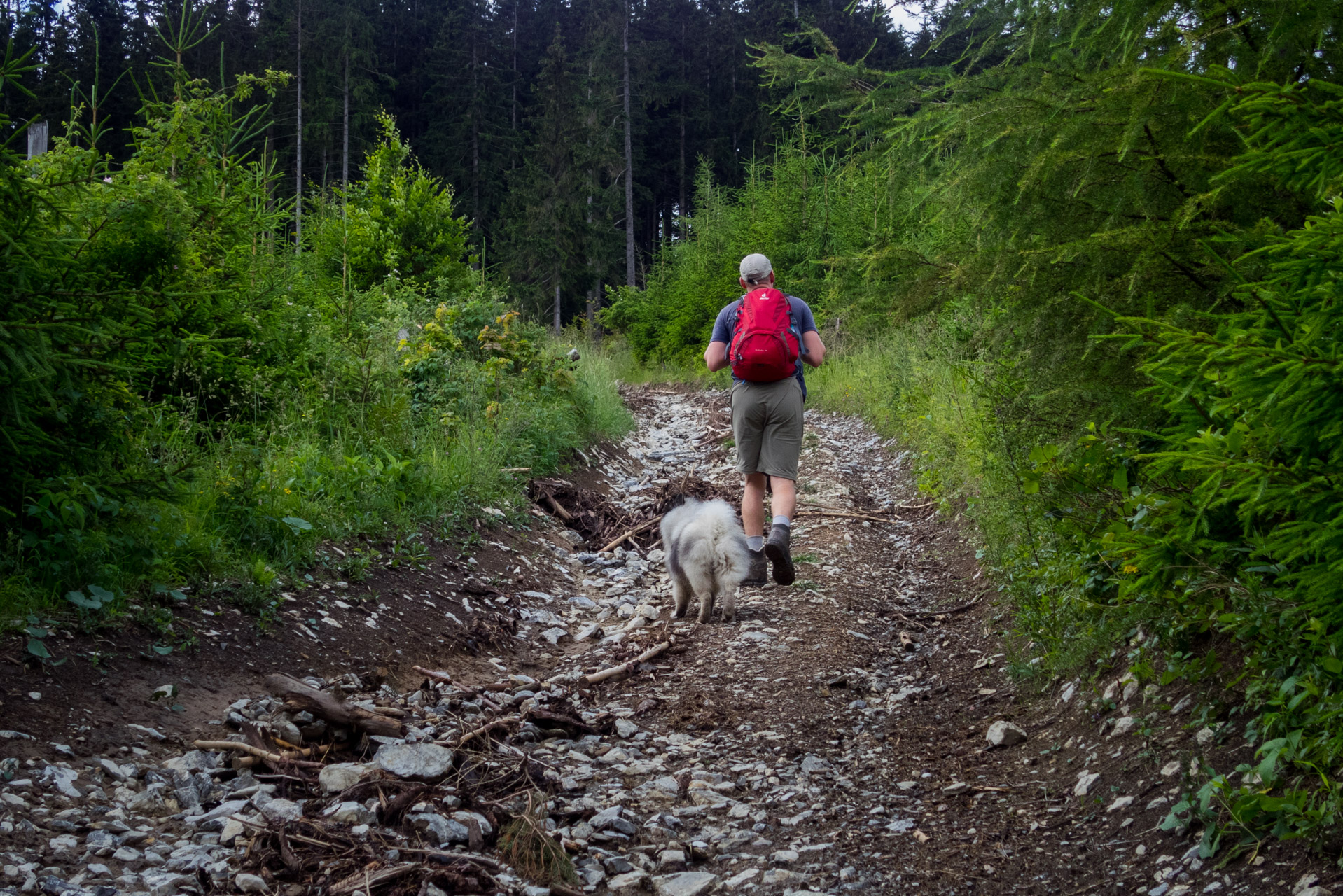 Salatín z Ludrovej cez Úplazy (Nízke Tatry)