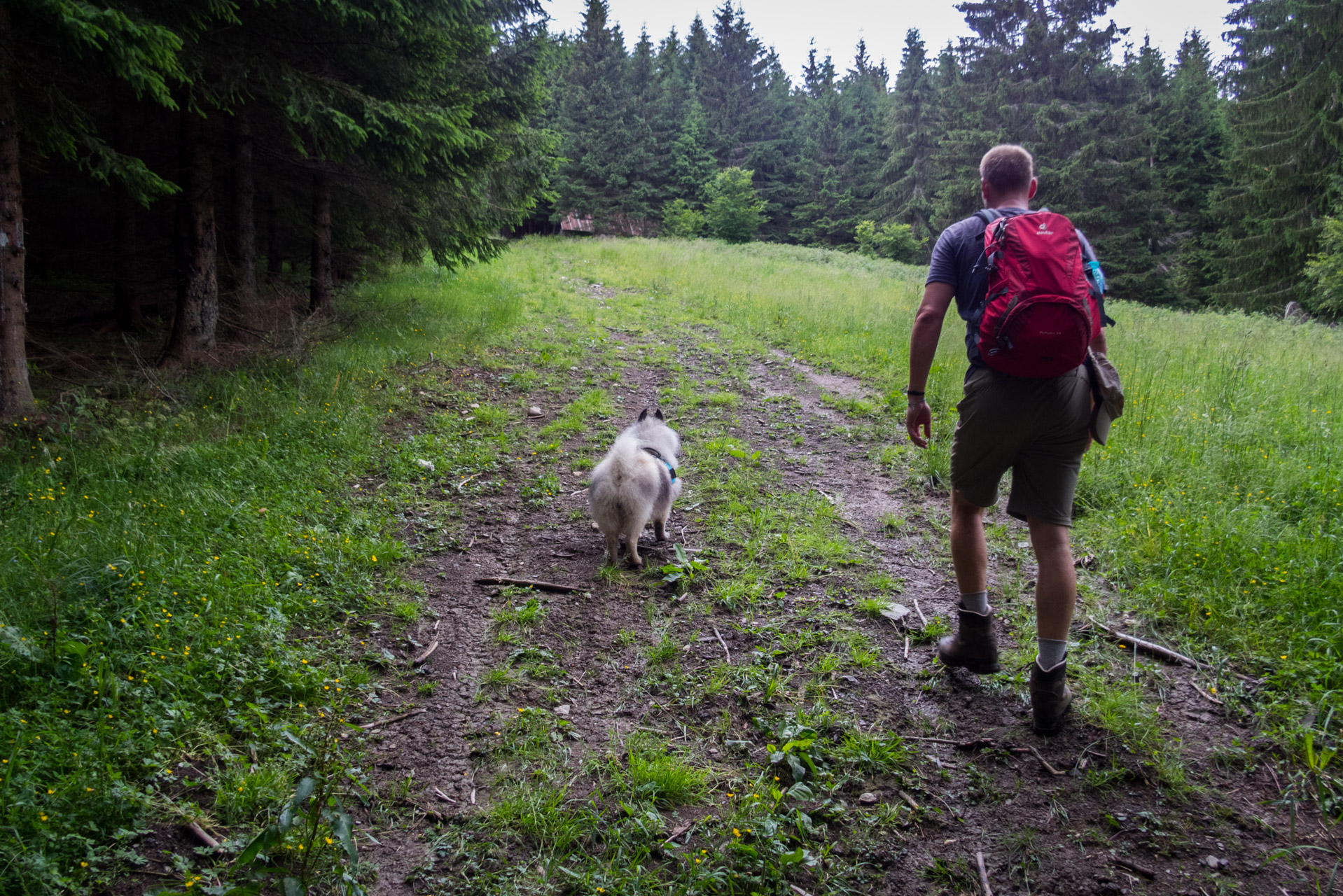 Salatín z Ludrovej cez Úplazy (Nízke Tatry)