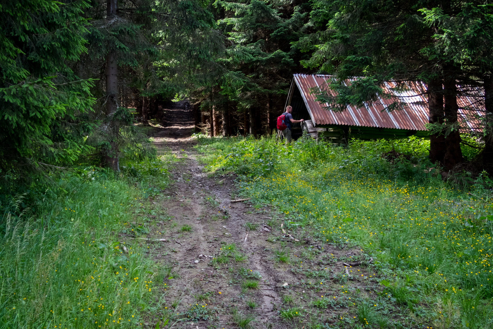 Salatín z Ludrovej cez Úplazy (Nízke Tatry)