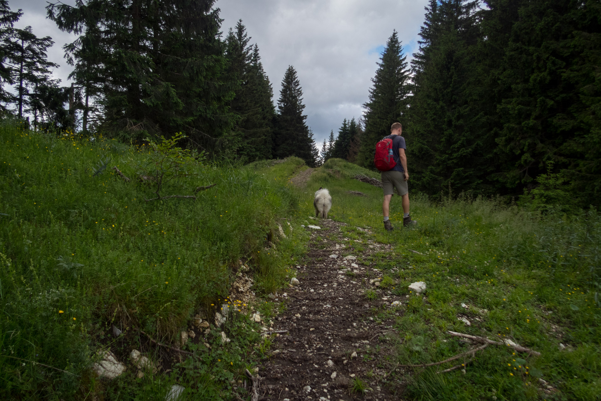 Salatín z Ludrovej cez Úplazy (Nízke Tatry)