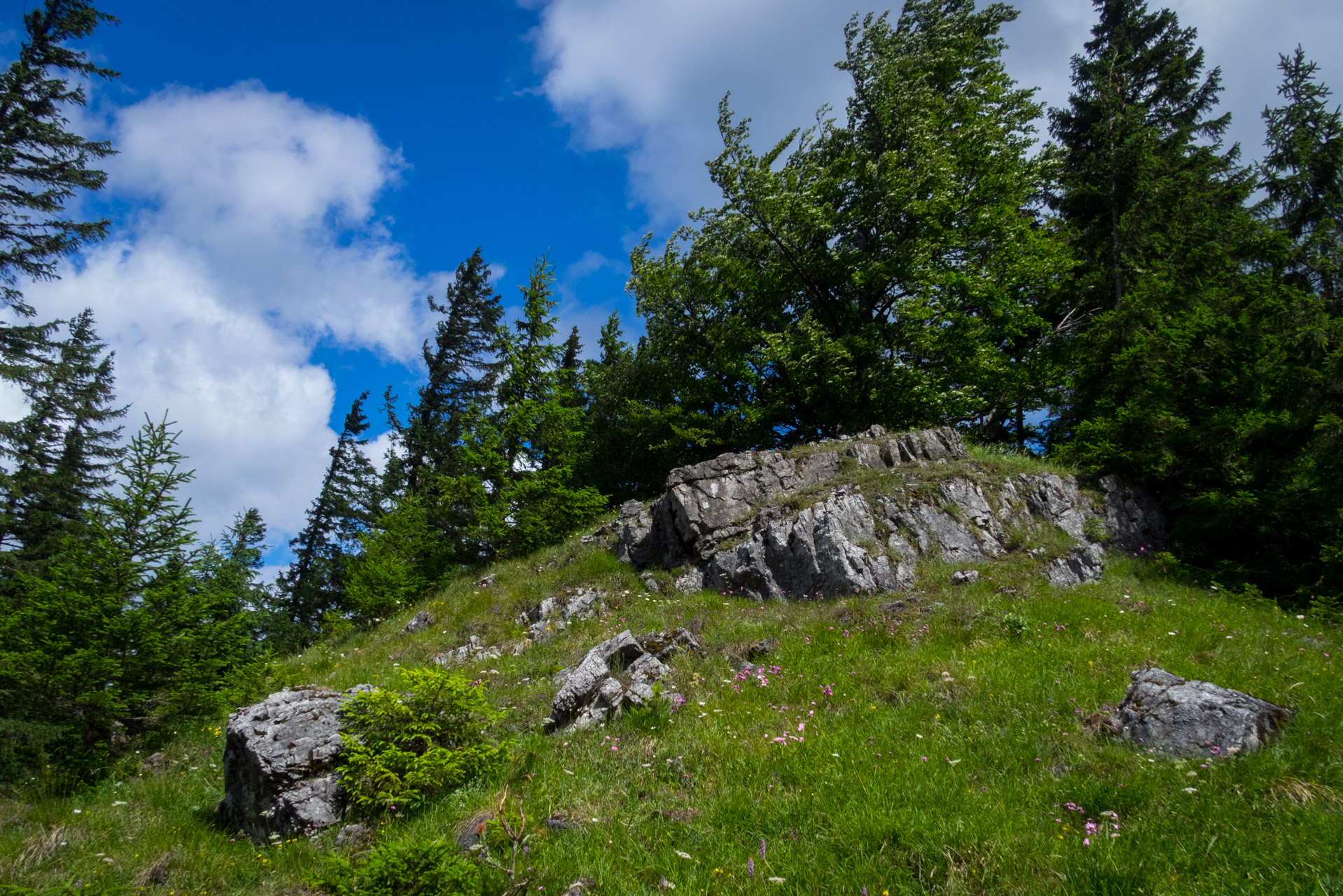 Salatín z Ludrovej cez Úplazy (Nízke Tatry)