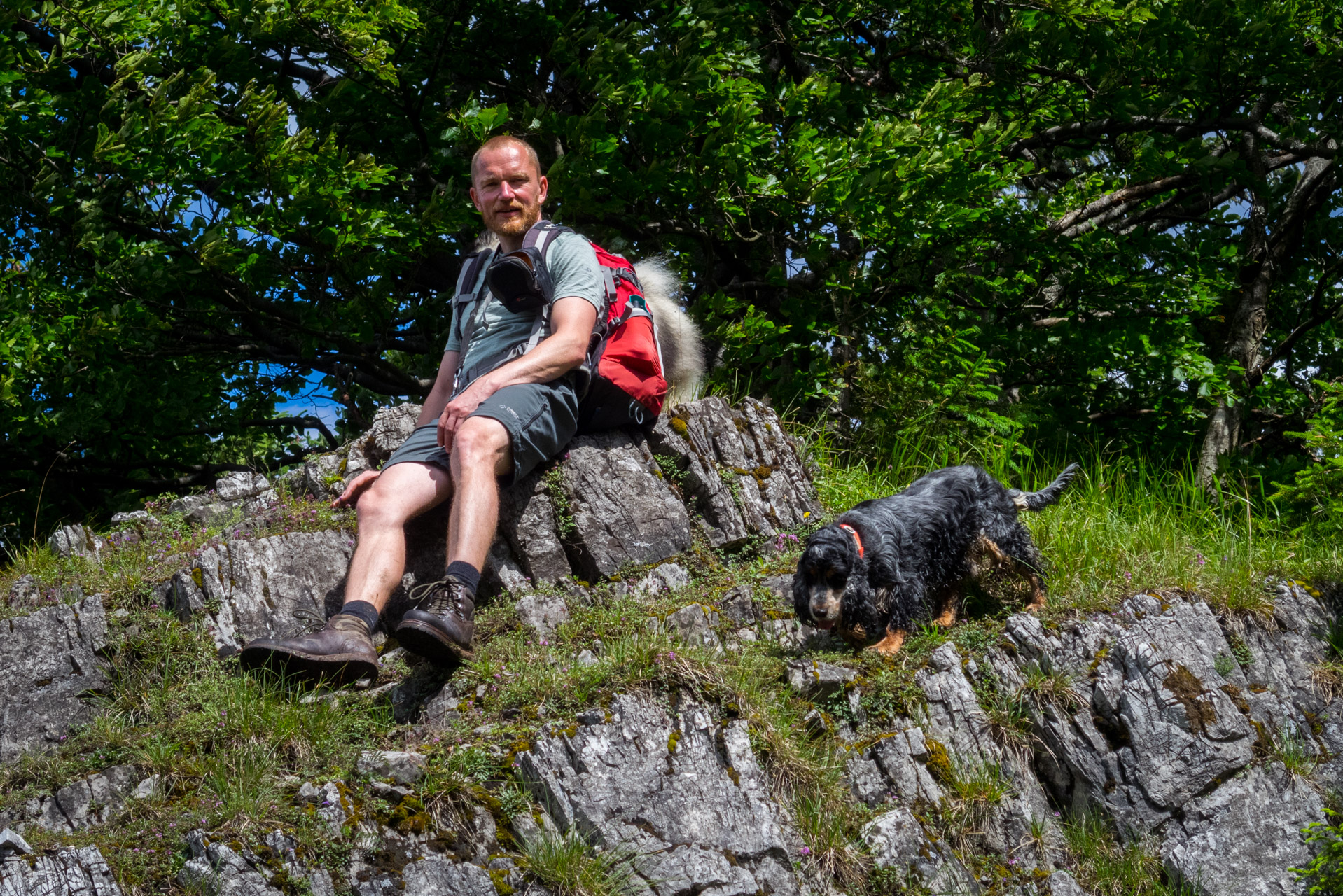 Salatín z Ludrovej cez Úplazy (Nízke Tatry)