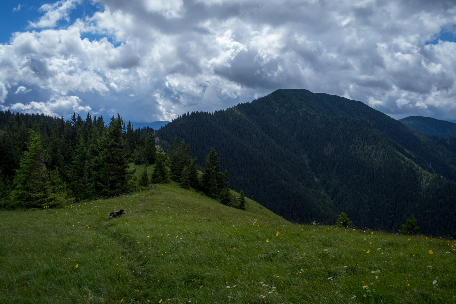 Salatín z Ludrovej cez Úplazy (Nízke Tatry)