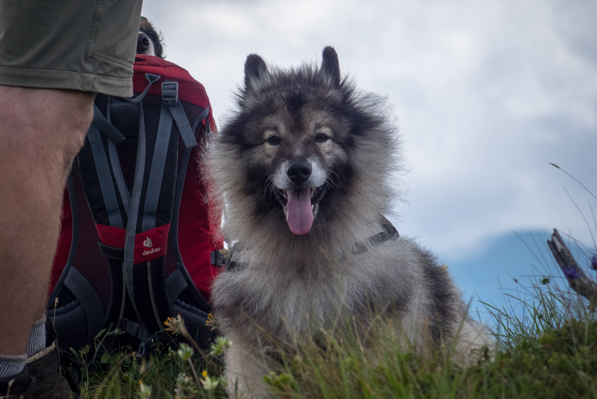 Salatín z Ludrovej cez Úplazy (Nízke Tatry)