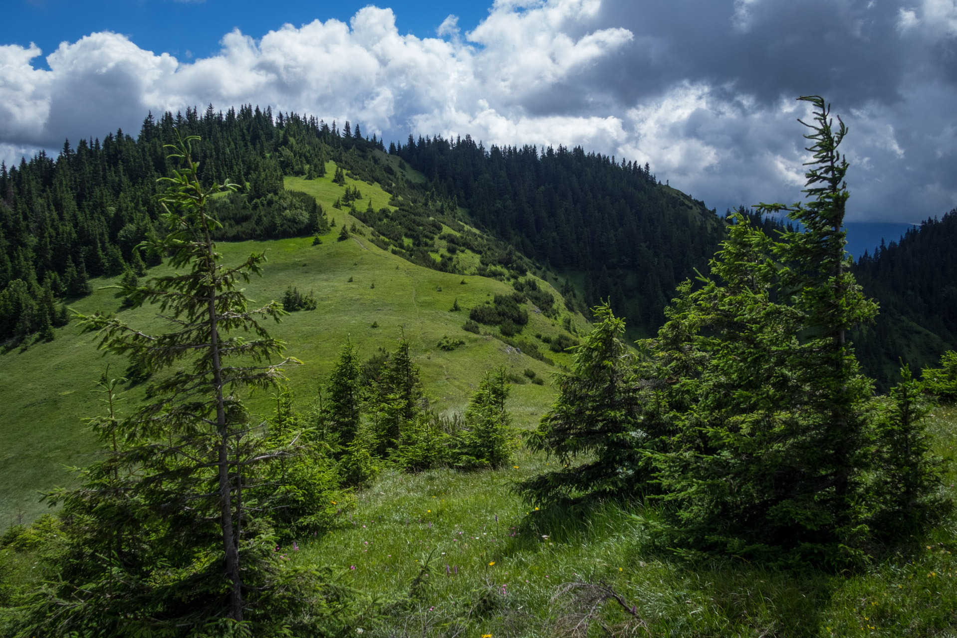 Salatín z Ludrovej cez Úplazy (Nízke Tatry)