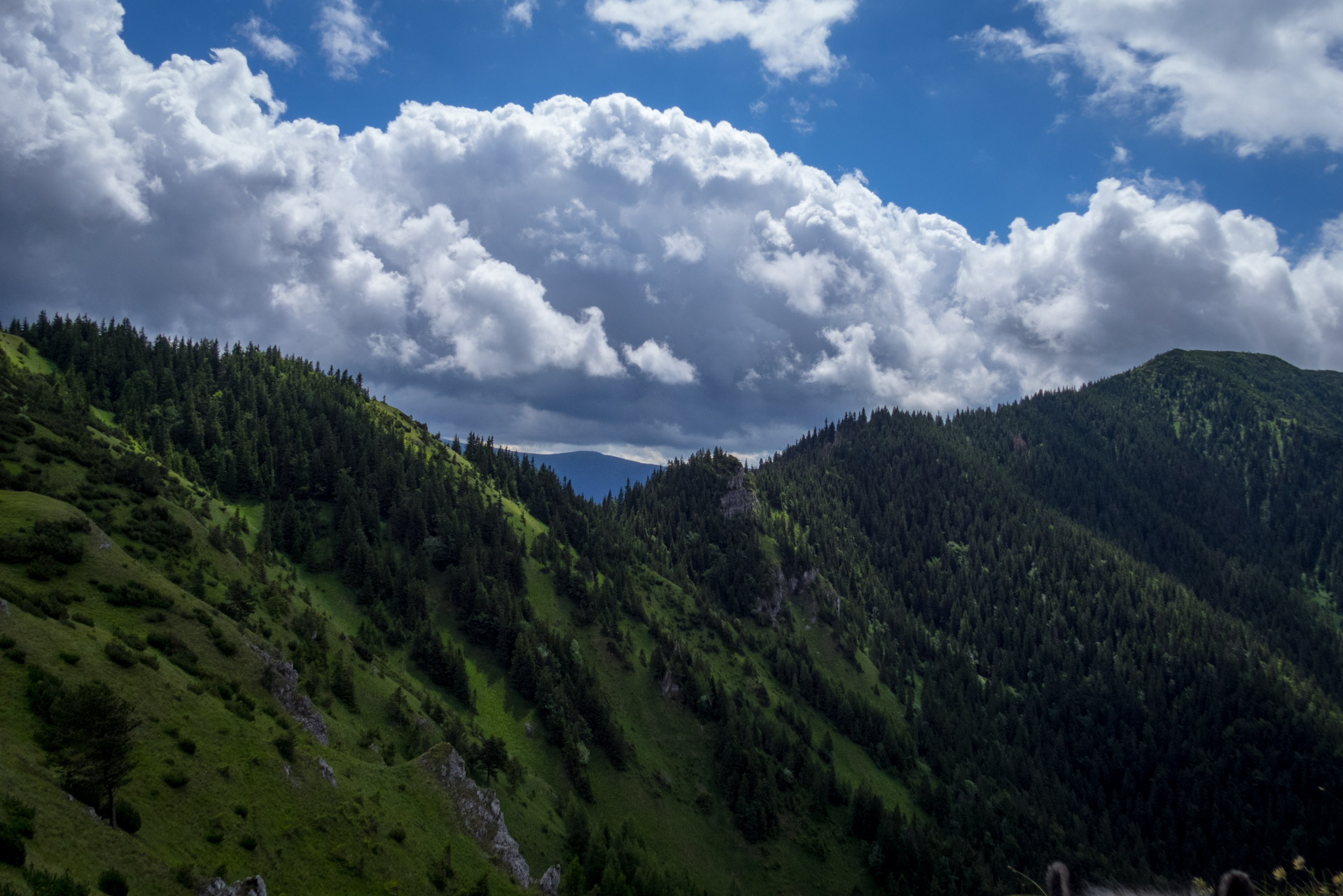 Salatín z Ludrovej cez Úplazy (Nízke Tatry)