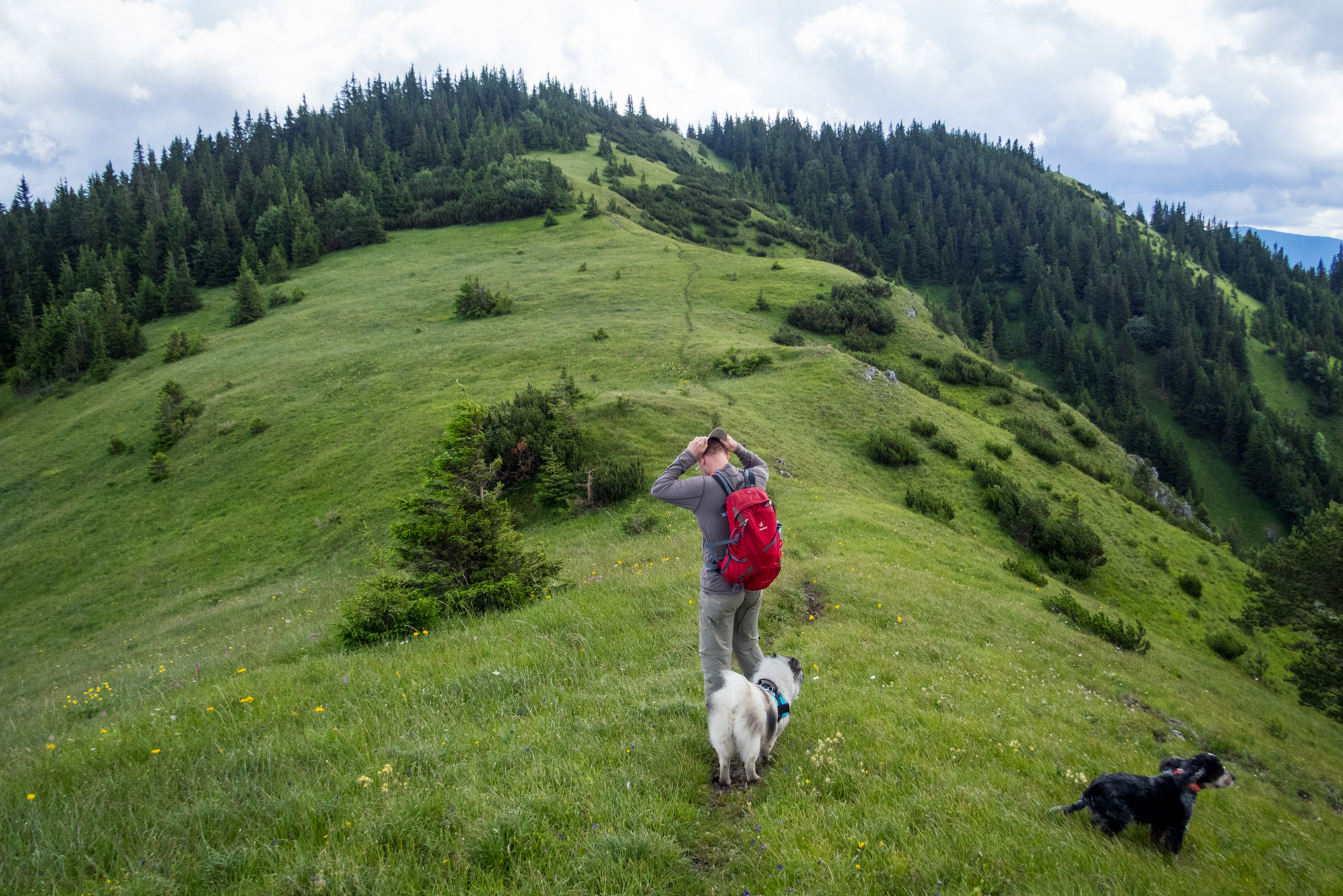 Salatín z Ludrovej cez Úplazy (Nízke Tatry)