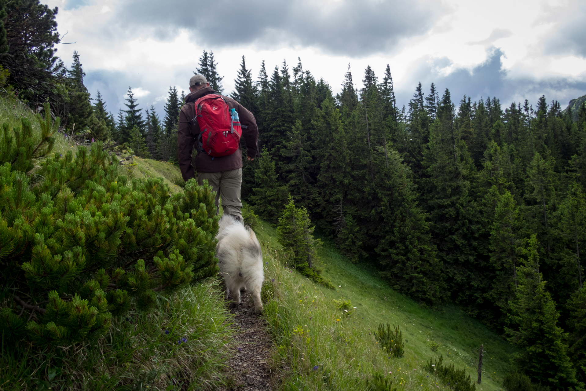 Salatín z Ludrovej cez Úplazy (Nízke Tatry)