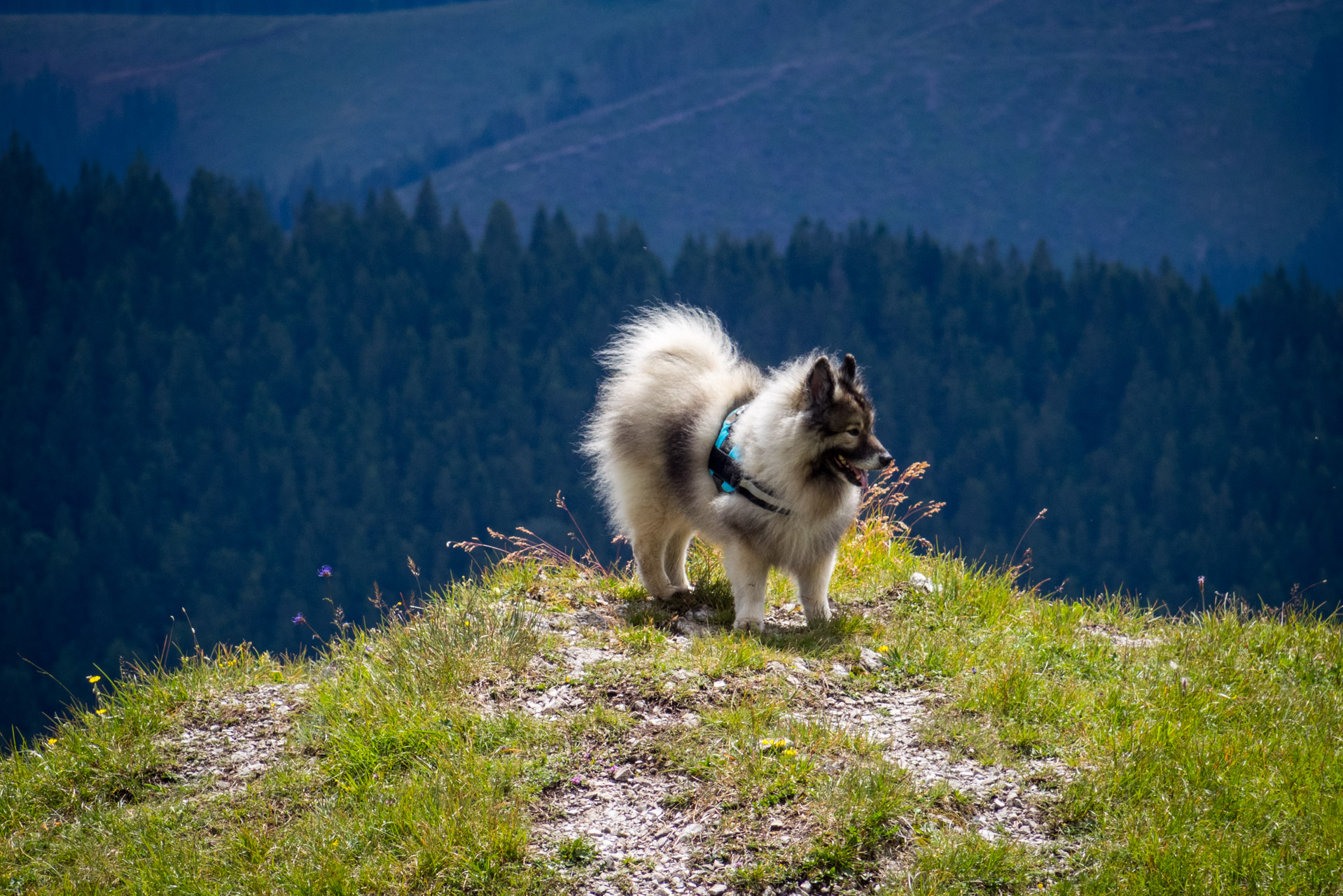 Salatín z Ludrovej cez Úplazy (Nízke Tatry)