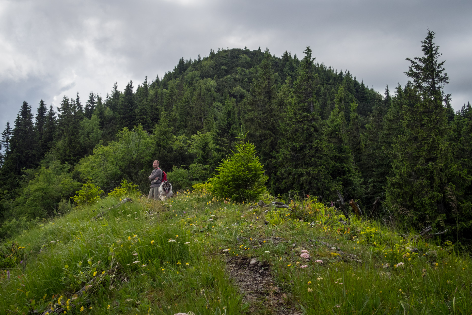 Salatín z Ludrovej cez Úplazy (Nízke Tatry)