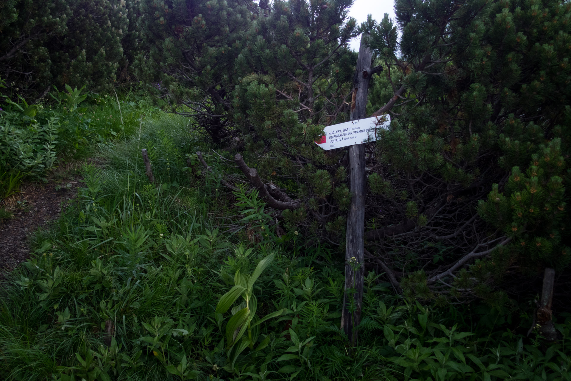 Salatín z Ludrovej cez Úplazy (Nízke Tatry)