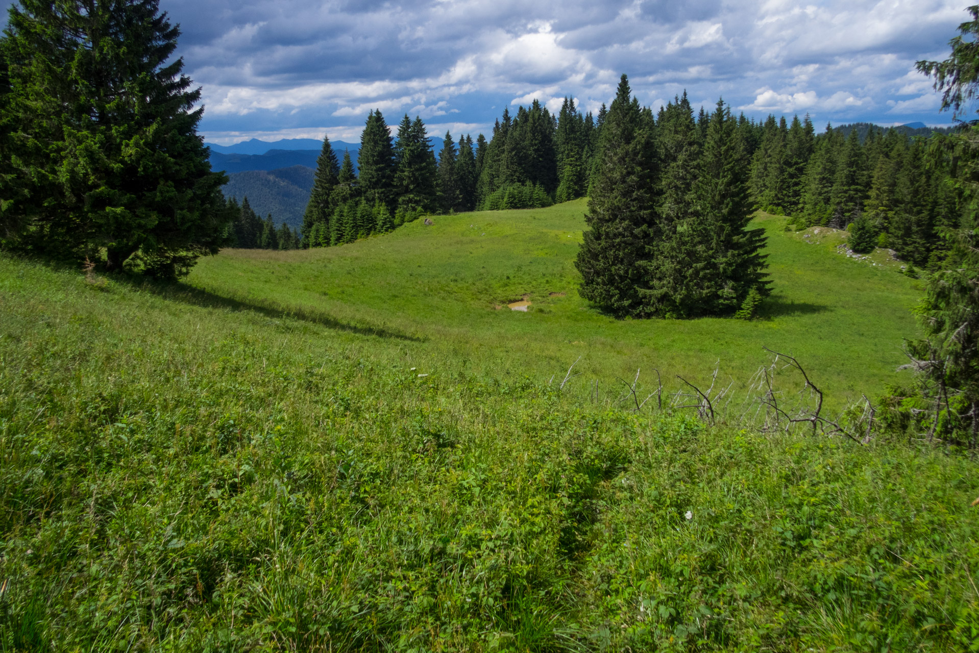 Salatín z Ludrovej cez Úplazy (Nízke Tatry)