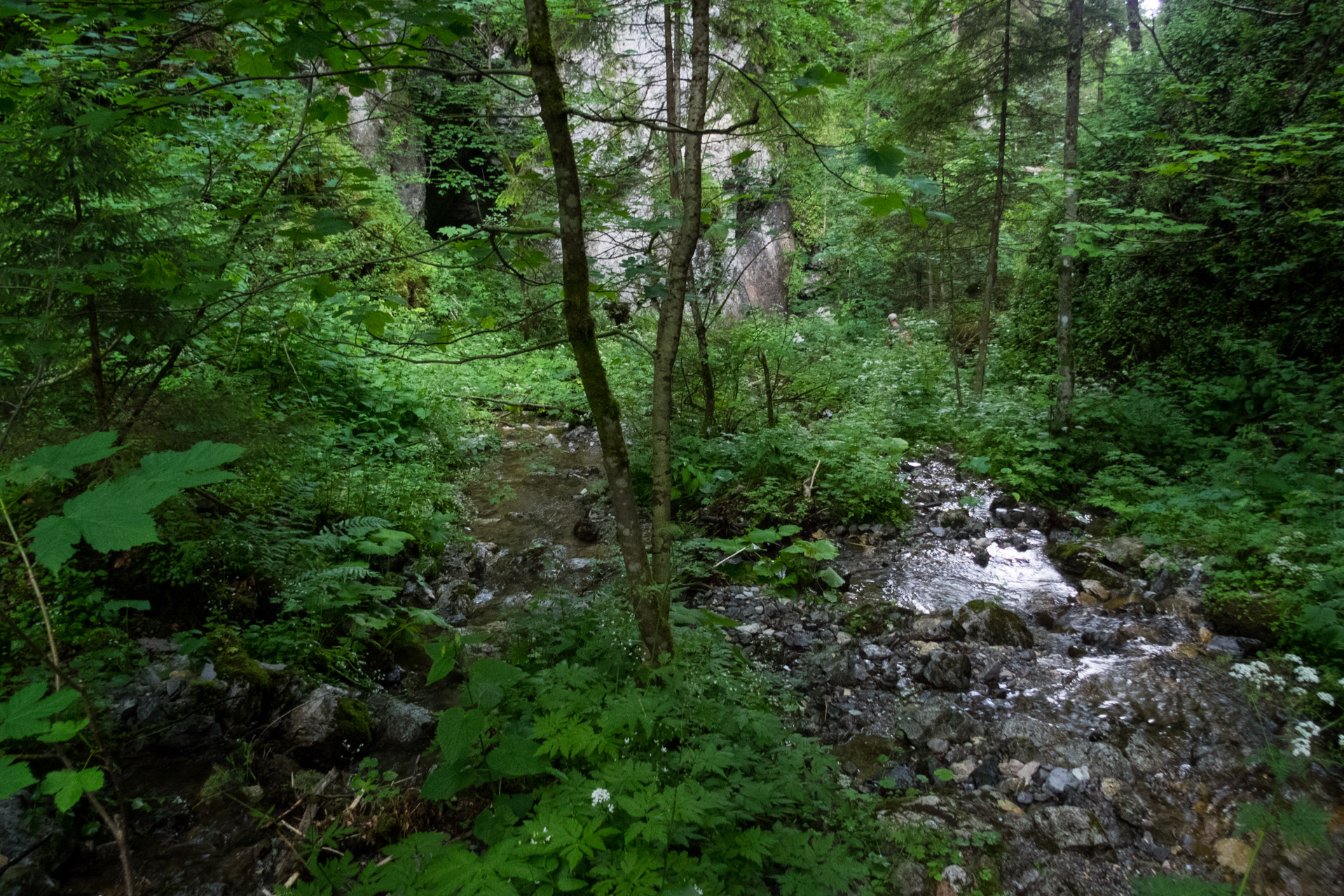 Salatín z Ludrovej cez Úplazy (Nízke Tatry)