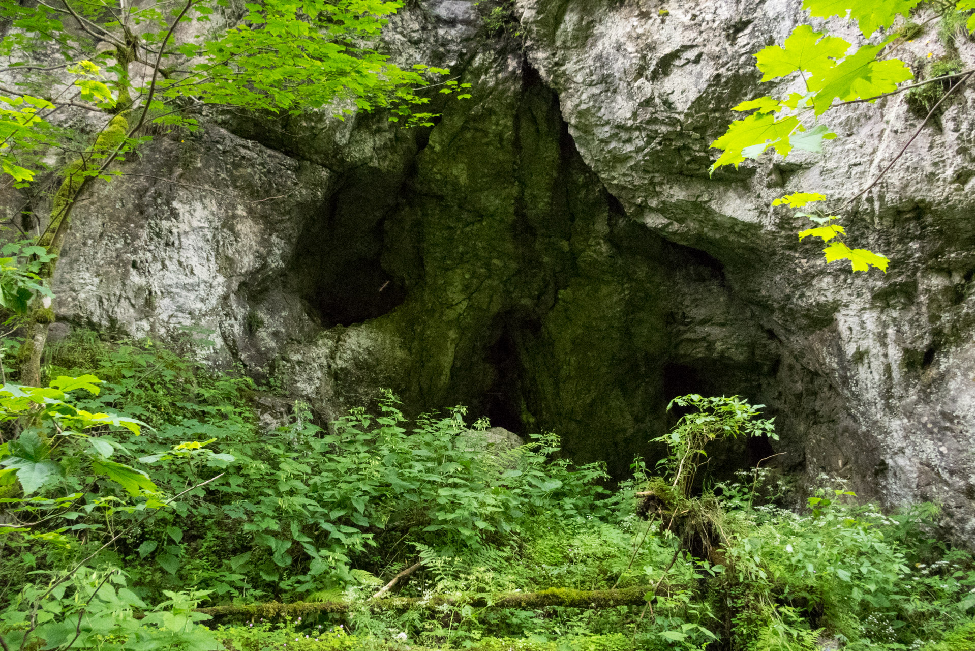 Salatín z Ludrovej cez Úplazy (Nízke Tatry)