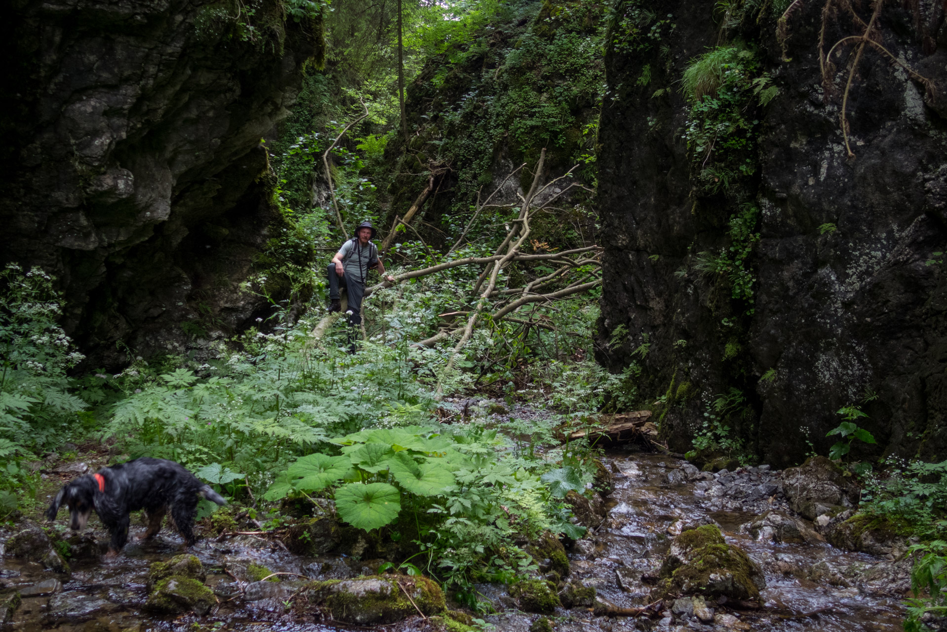 Salatín z Ludrovej cez Úplazy (Nízke Tatry)