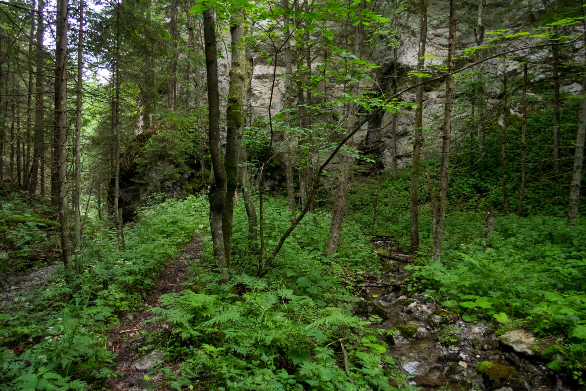 Salatín z Ludrovej cez Úplazy (Nízke Tatry)