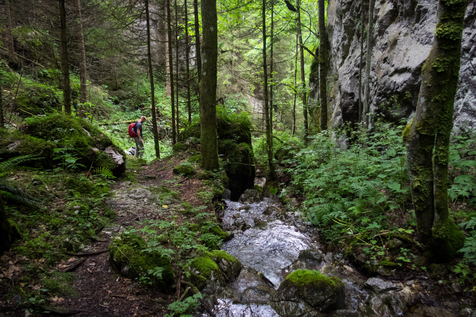 Salatín z Ludrovej cez Úplazy (Nízke Tatry)