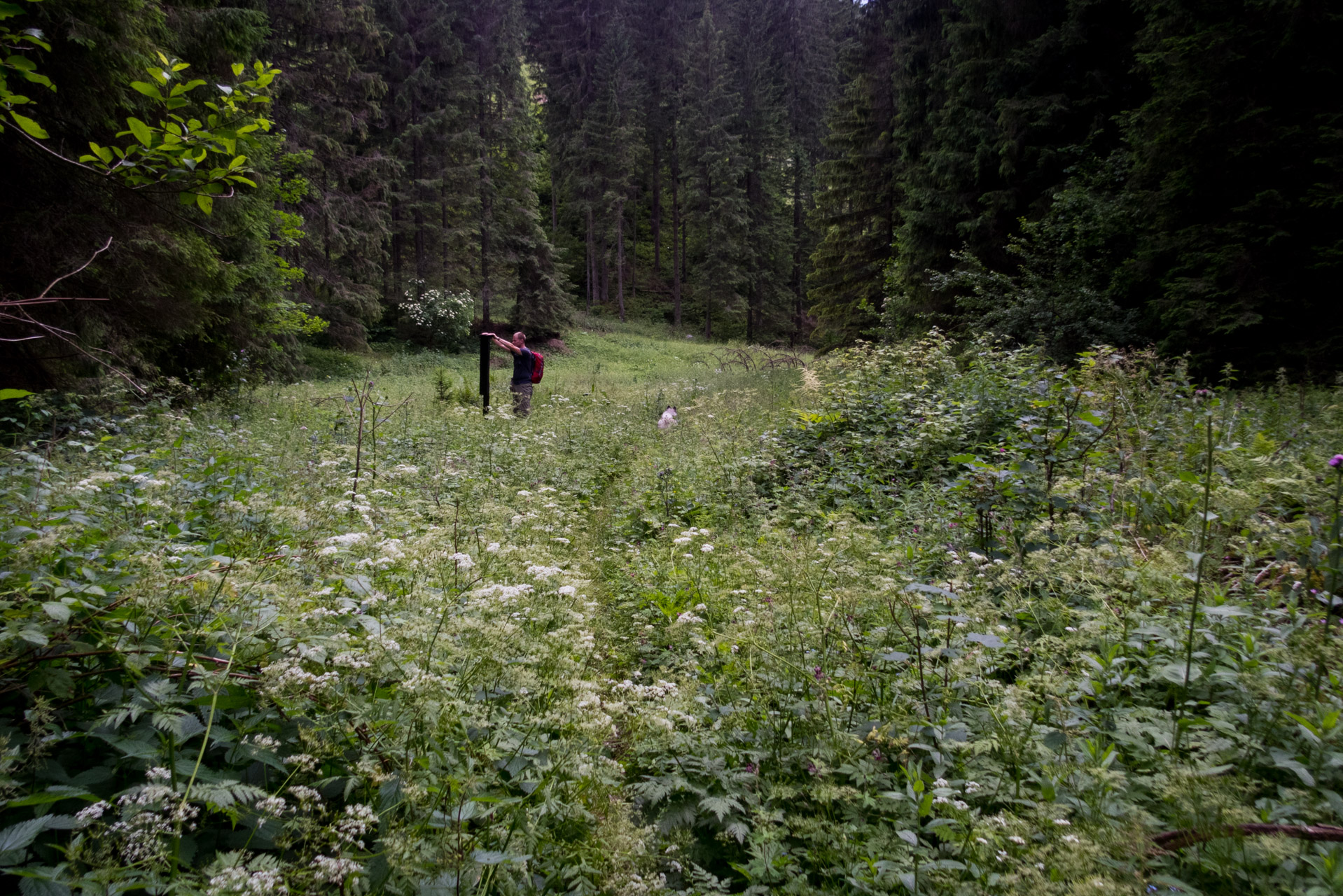 Salatín z Ludrovej cez Úplazy (Nízke Tatry)